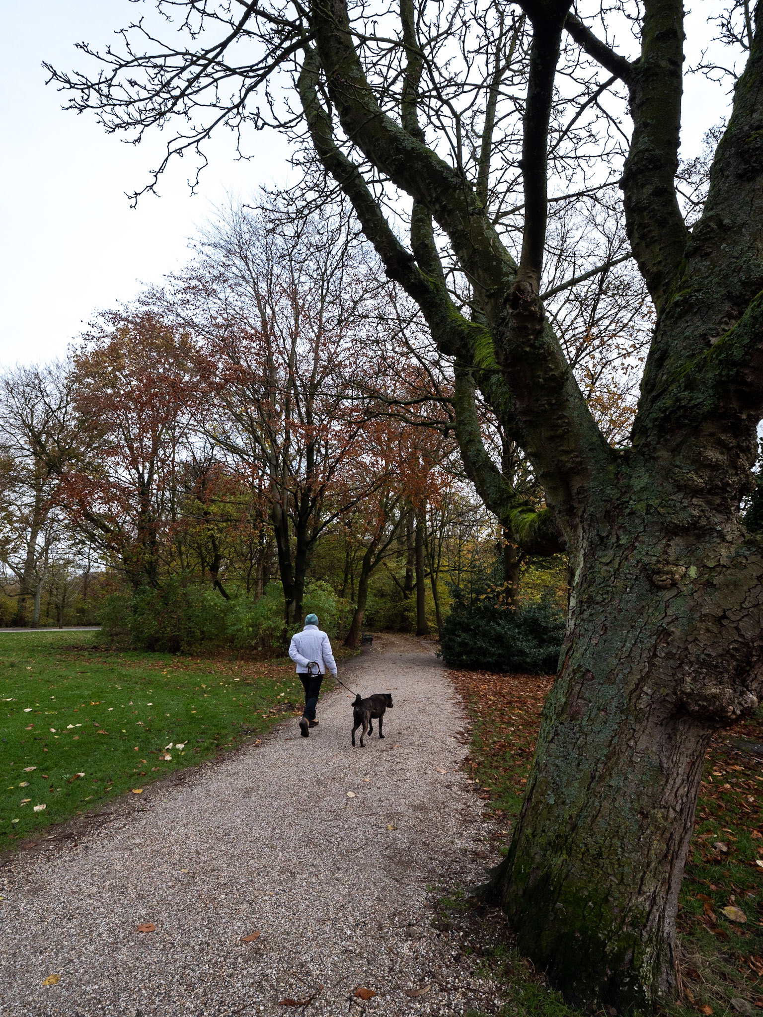 P1068128 Vondelpark