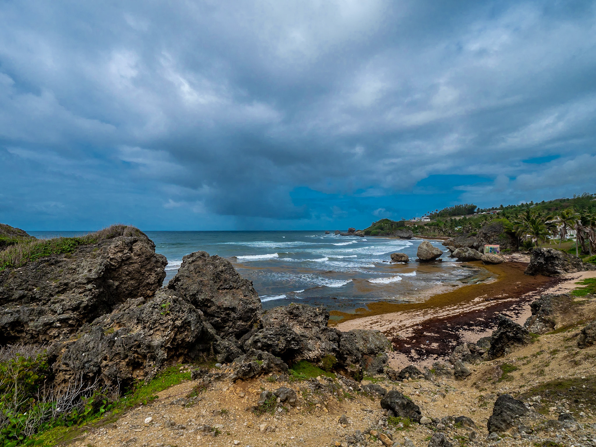 P1013639 East Coastline