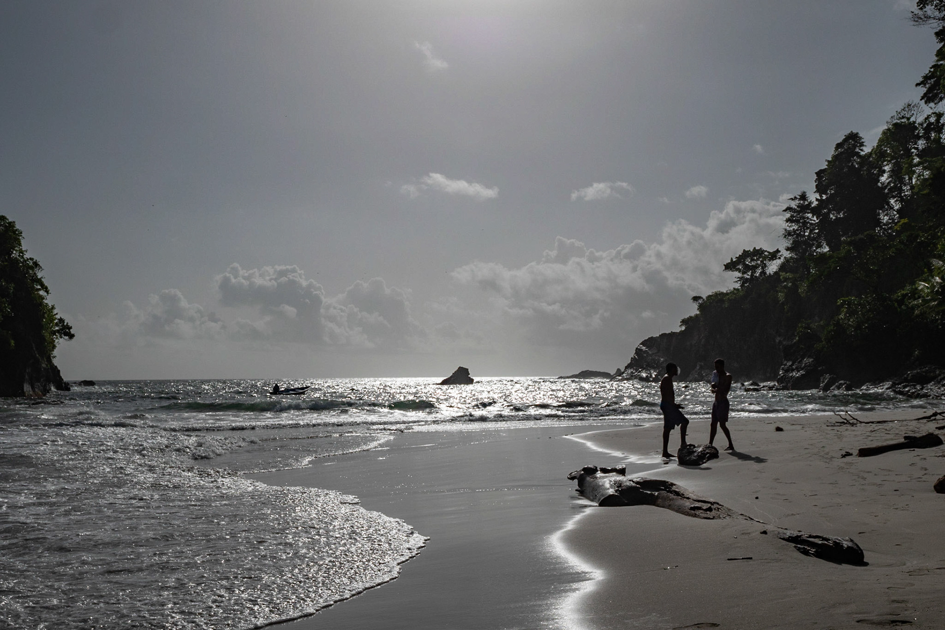 P1071790 Silhouette