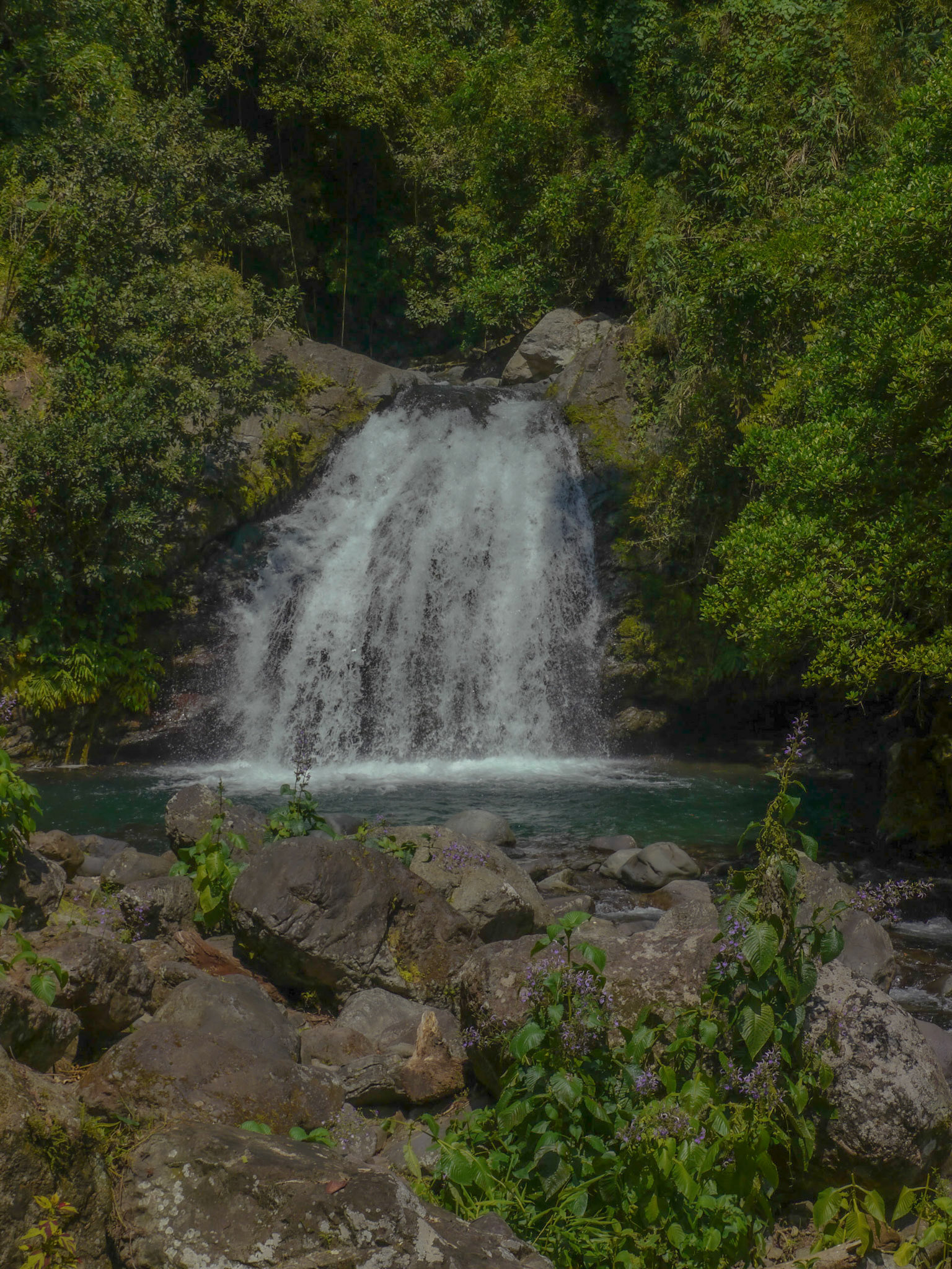 P1010961