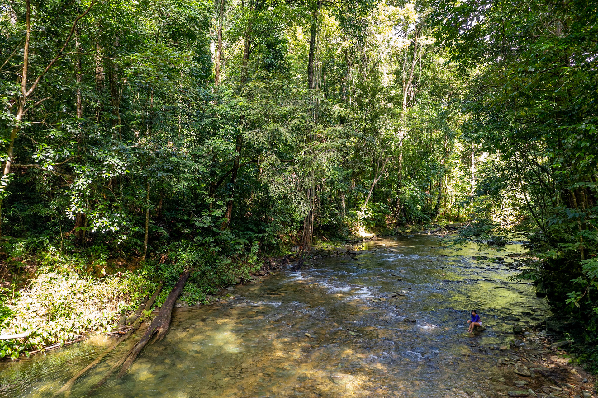 DJI_0312 Ambience