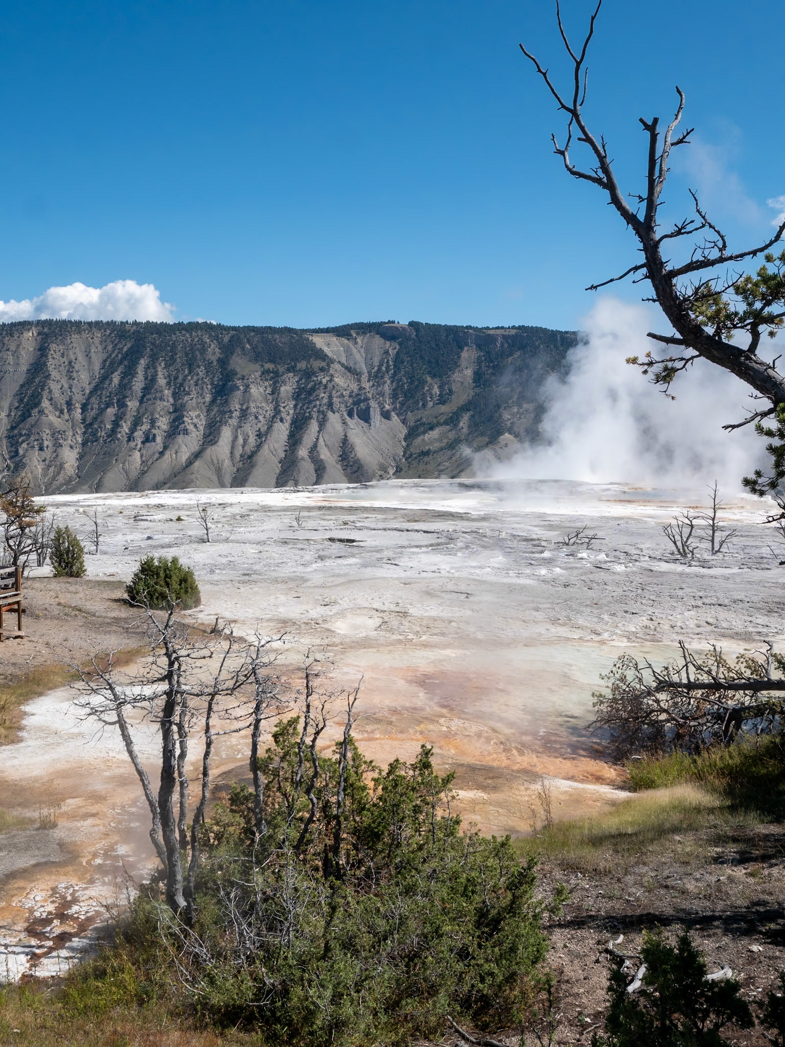 P1124563 Yellowstone National Park
