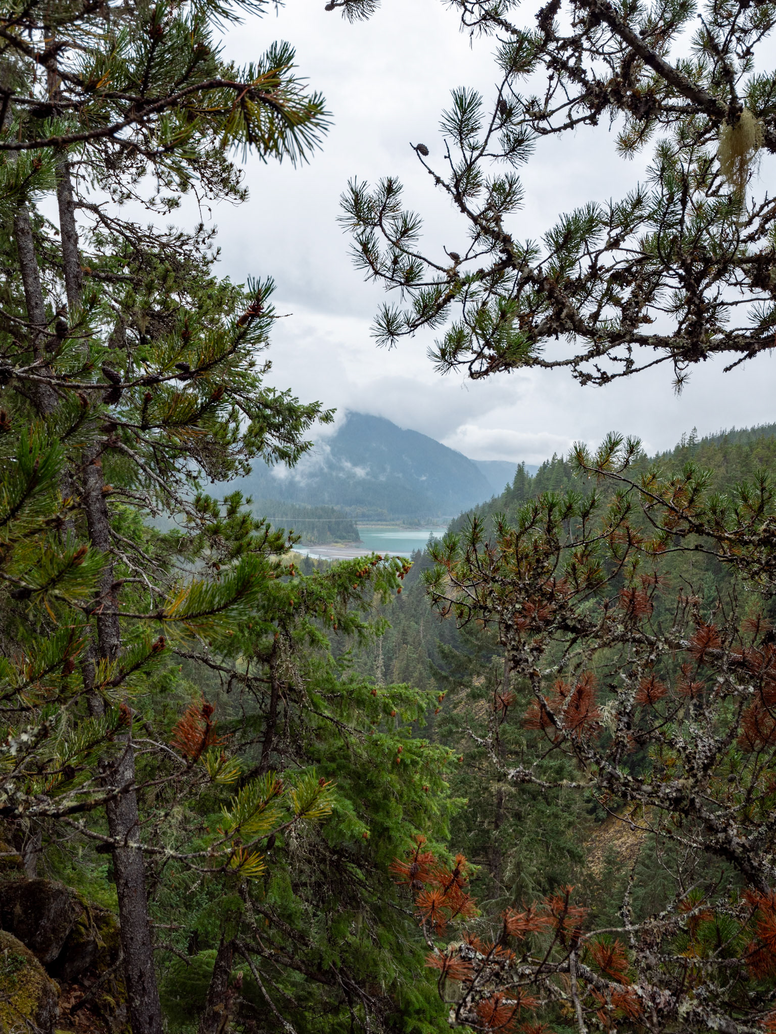 Brandywine Falls Lookout Trail