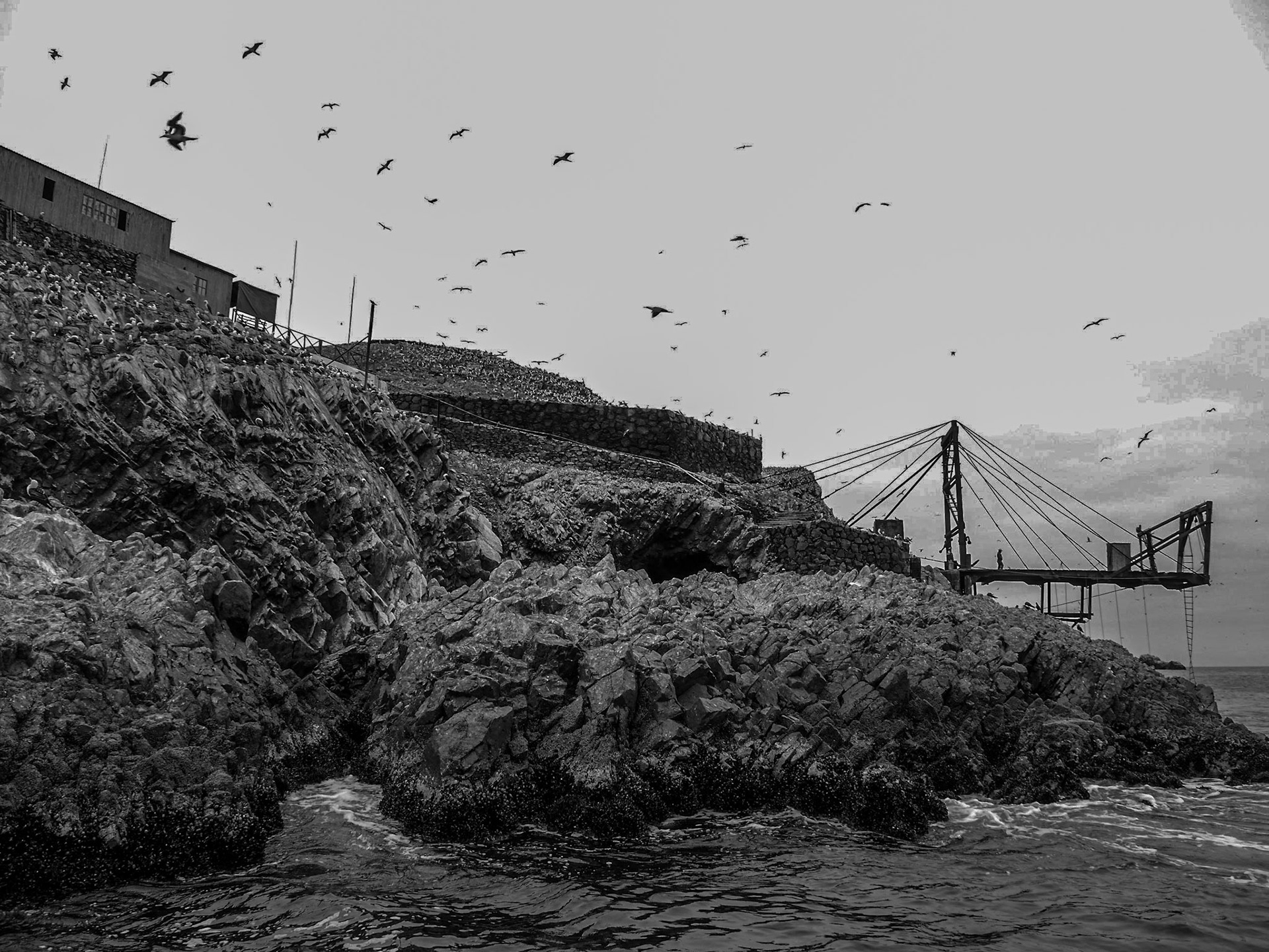 P1090690 Ballestas Islands