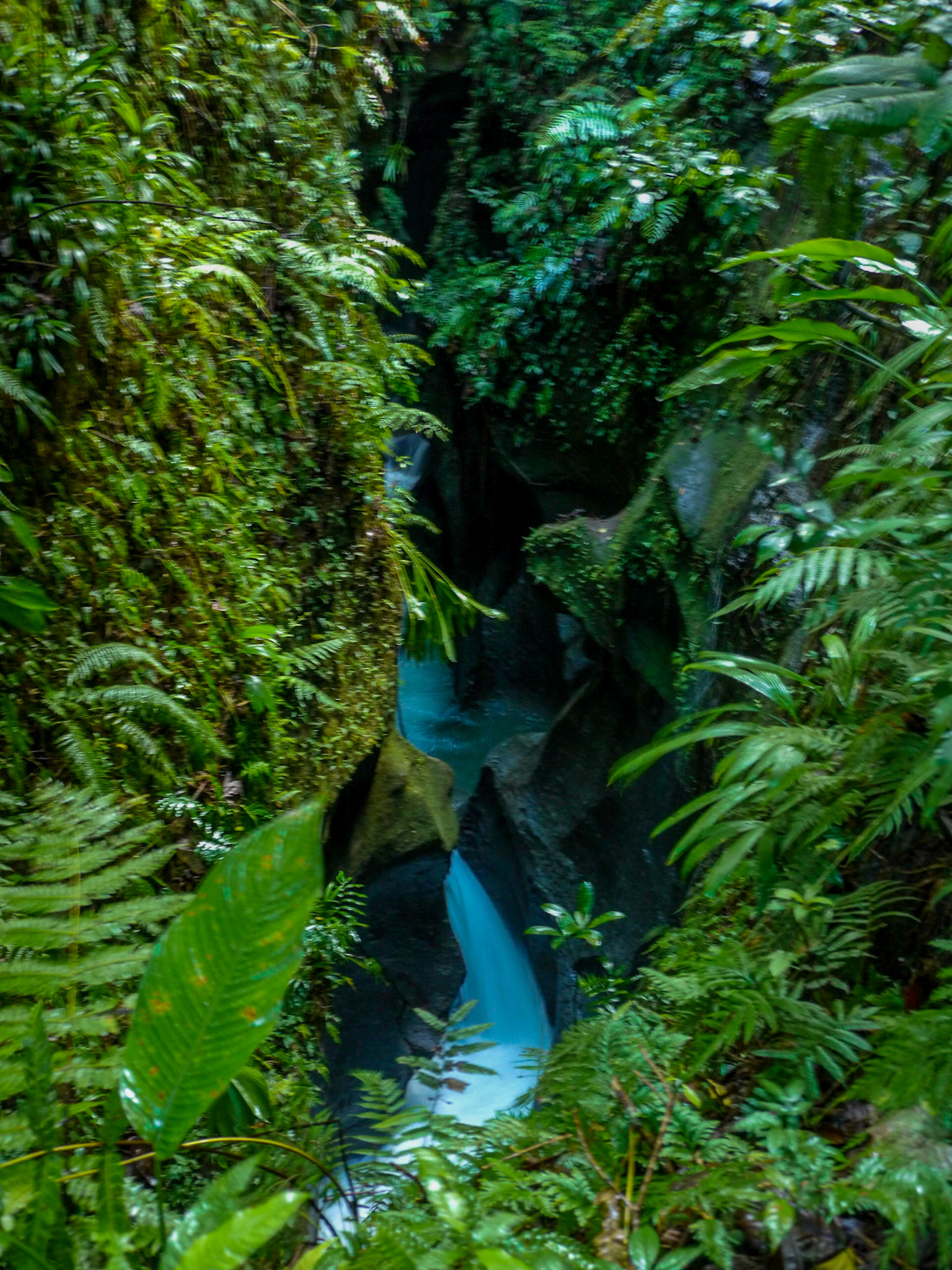 P1040564