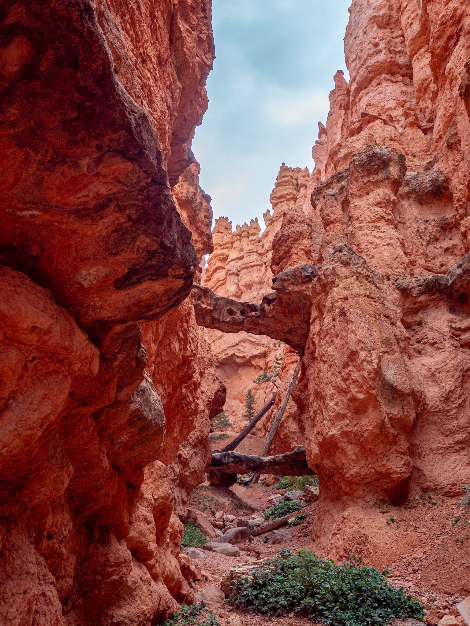 P1123697 Bryce National Park