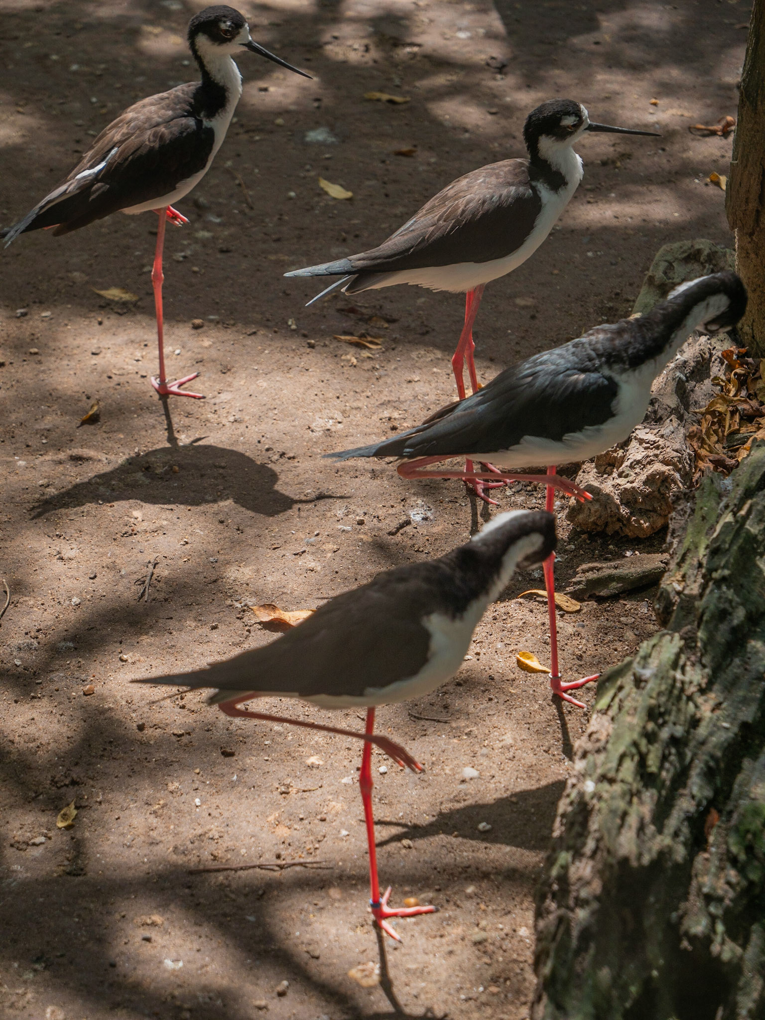 P1036716