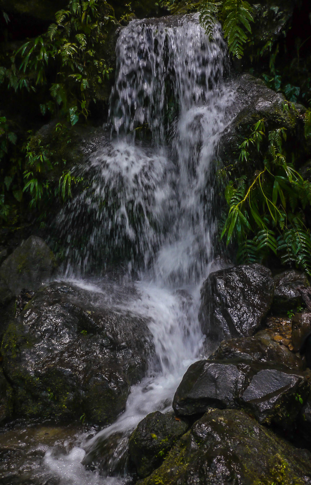 P1040369