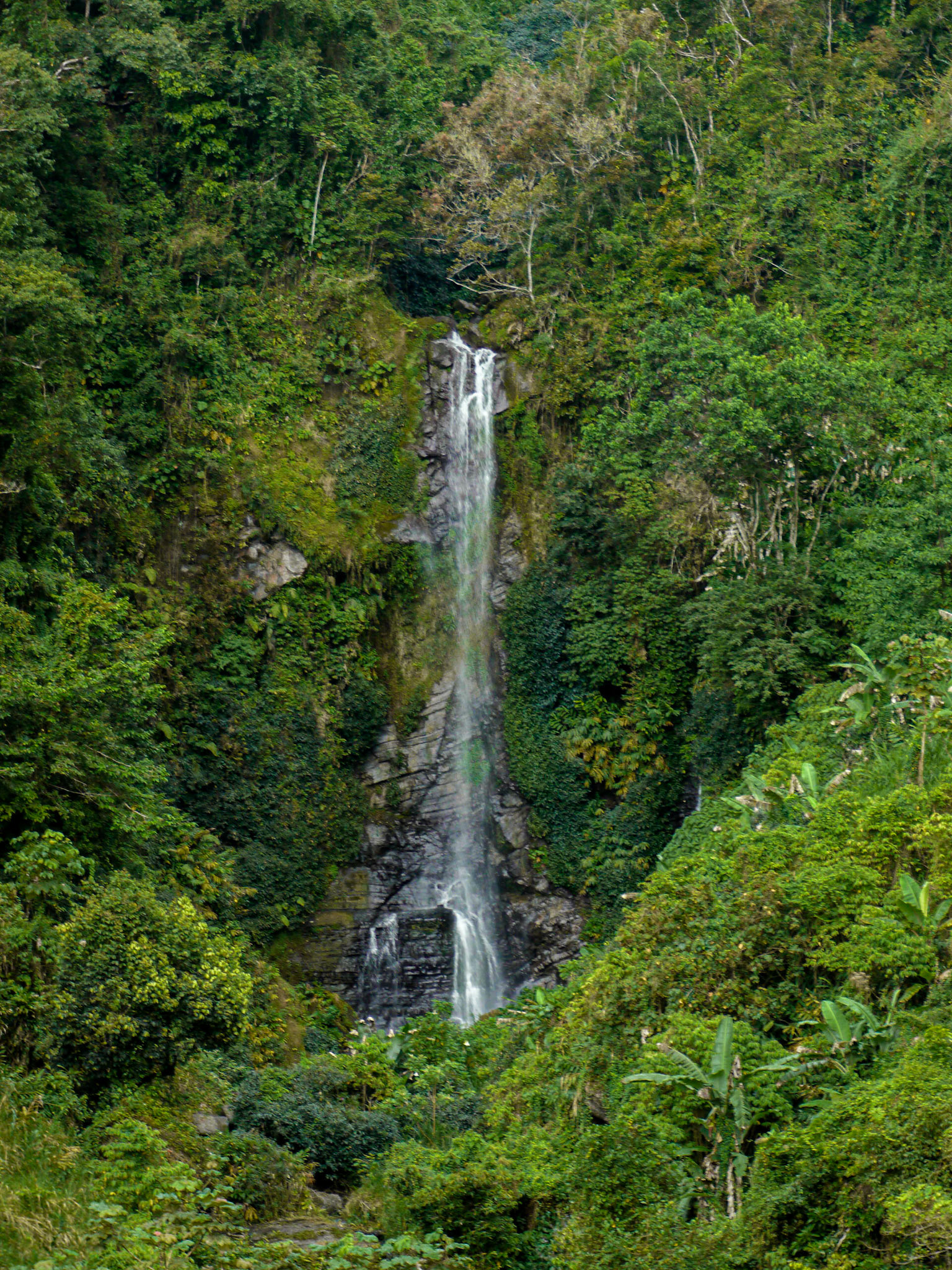 P1020020