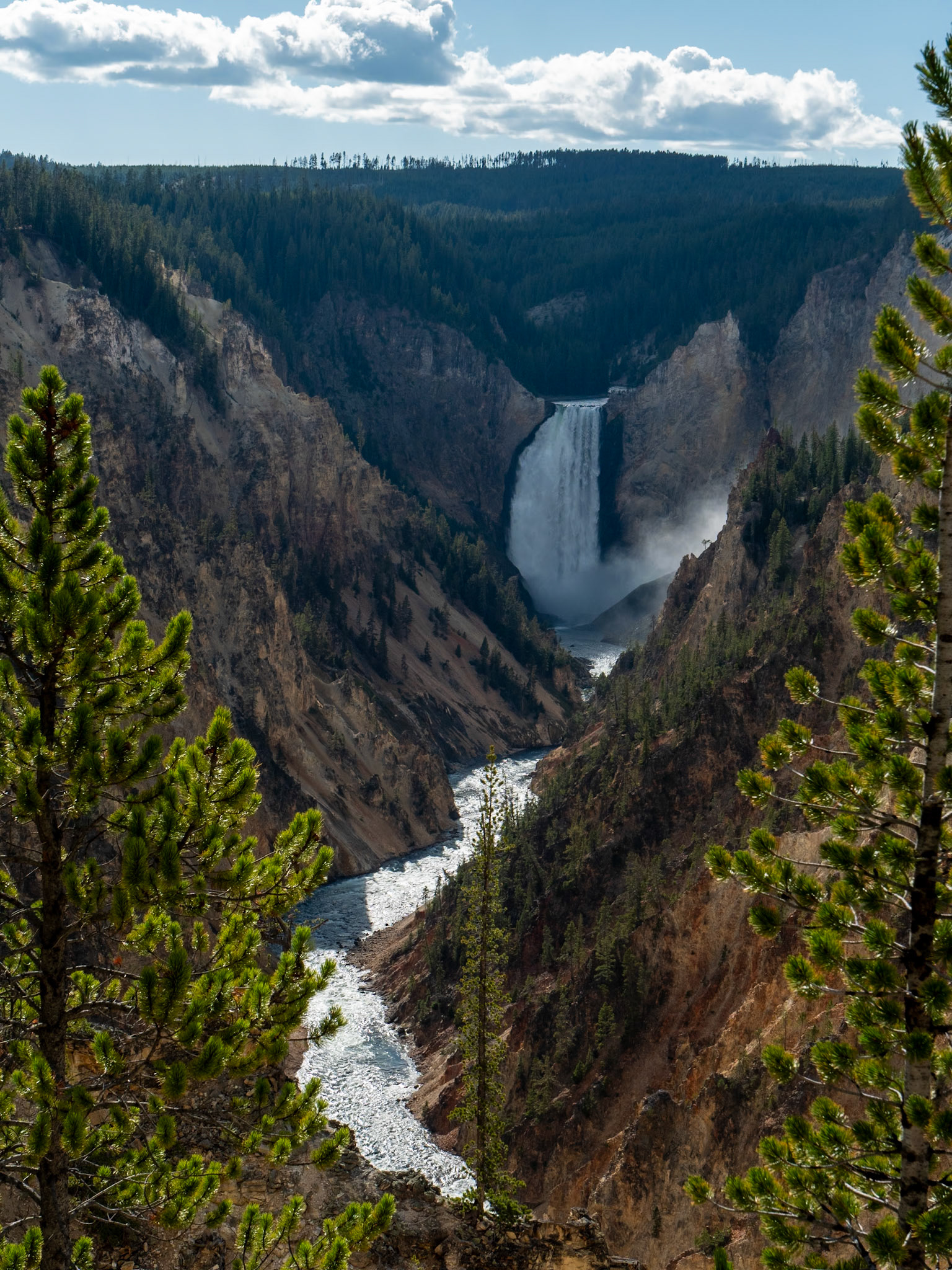 P1134684 Yellowstone National Park