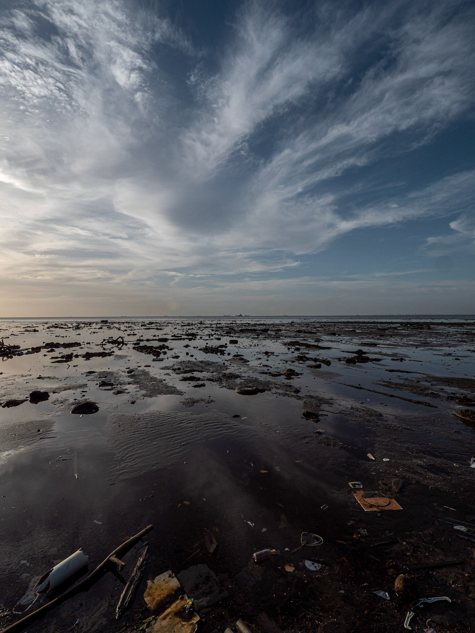 P1066457 Mangrove West Coastline