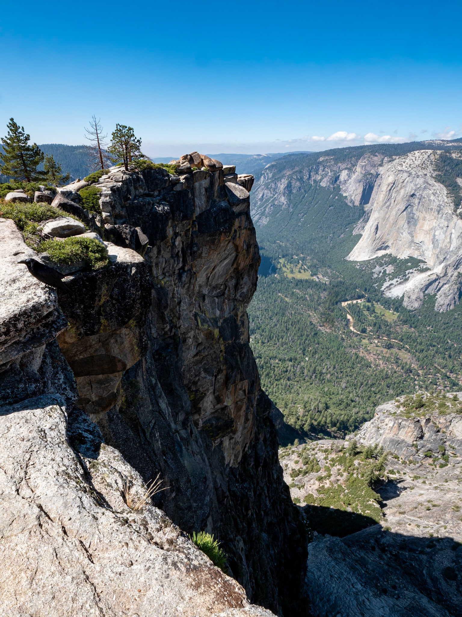 P1135461 Yosemite National Park
