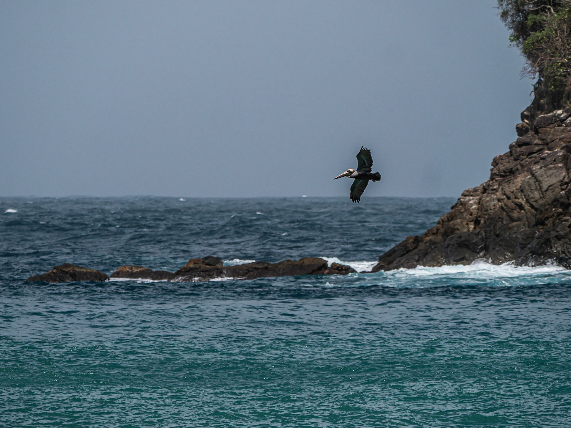 P1055880 West Coastline