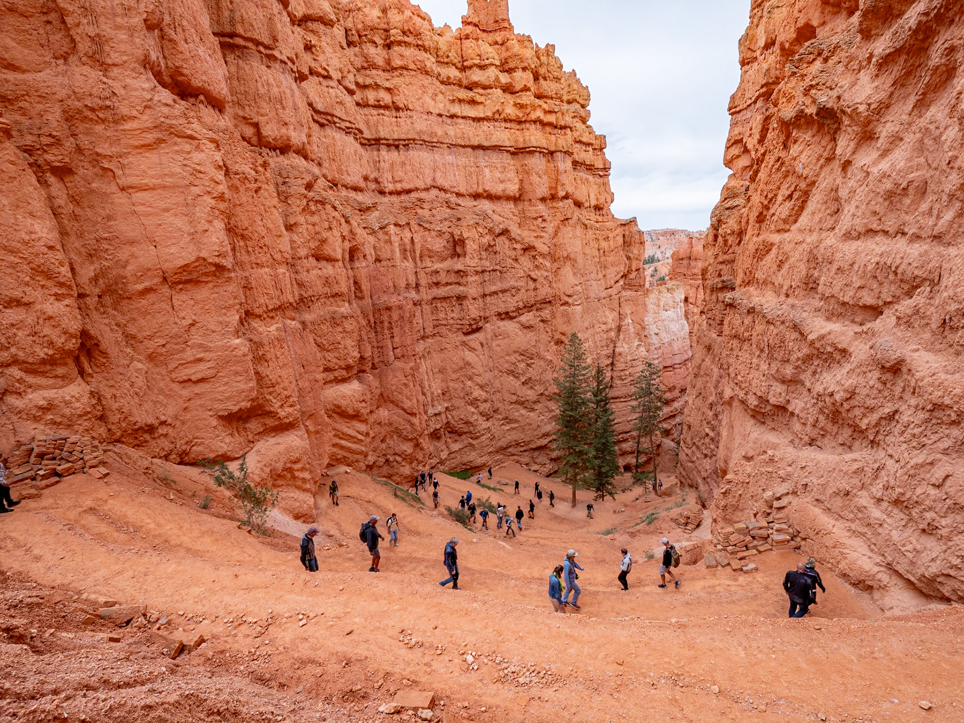 BP1123700 Bryce National Park