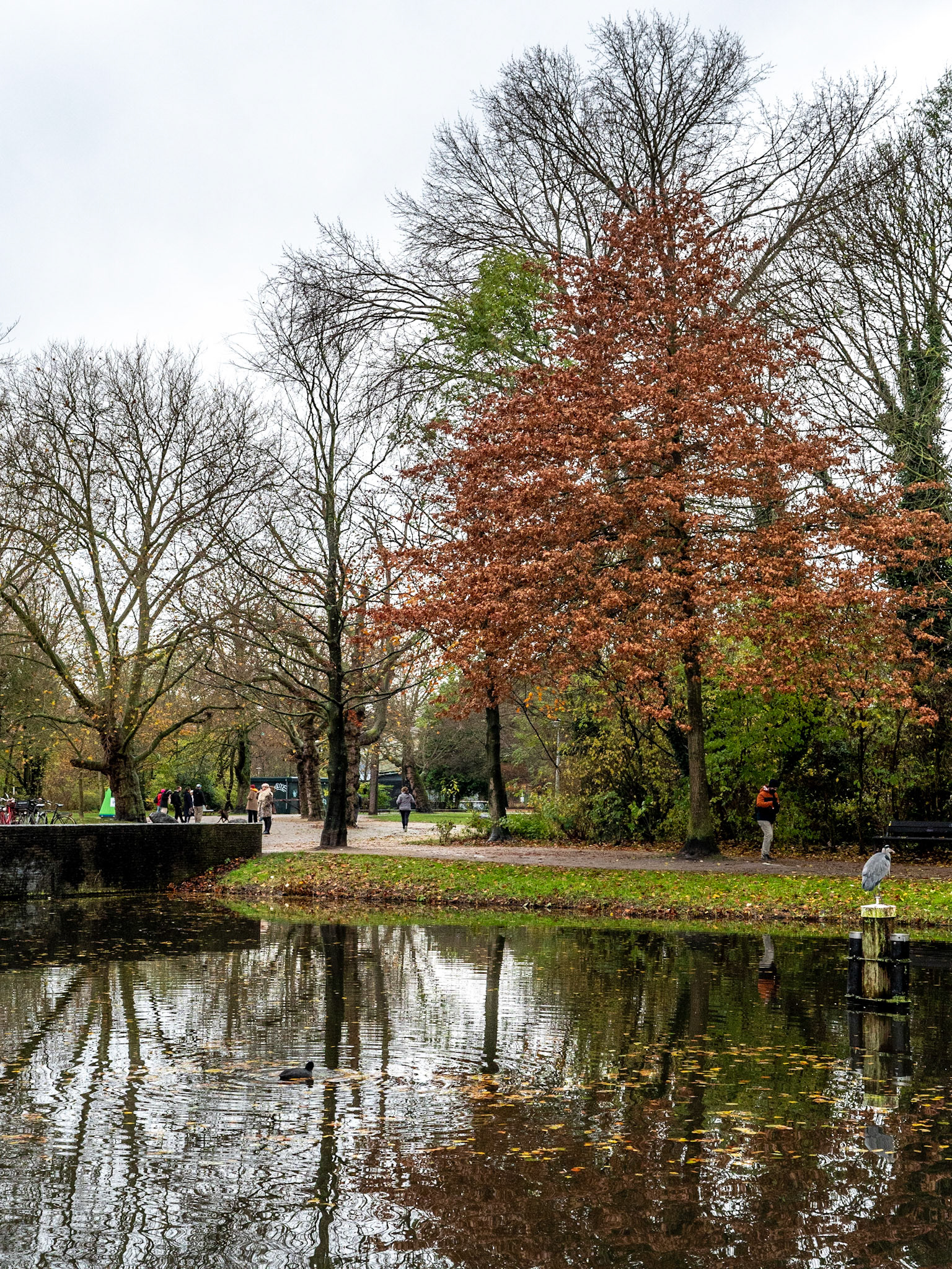 P1068280 Vondelpark