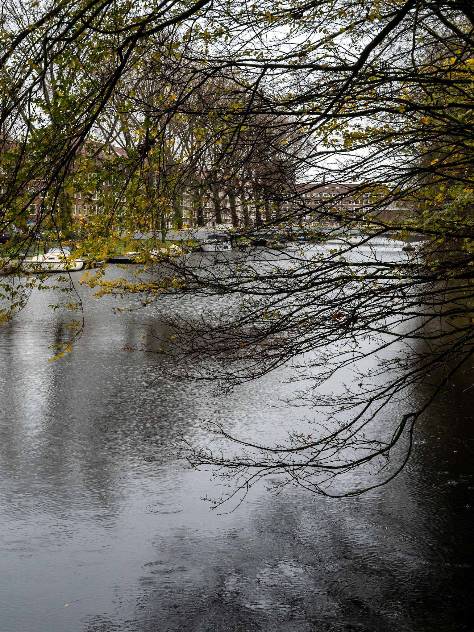 P1068215 Rembrandtpark