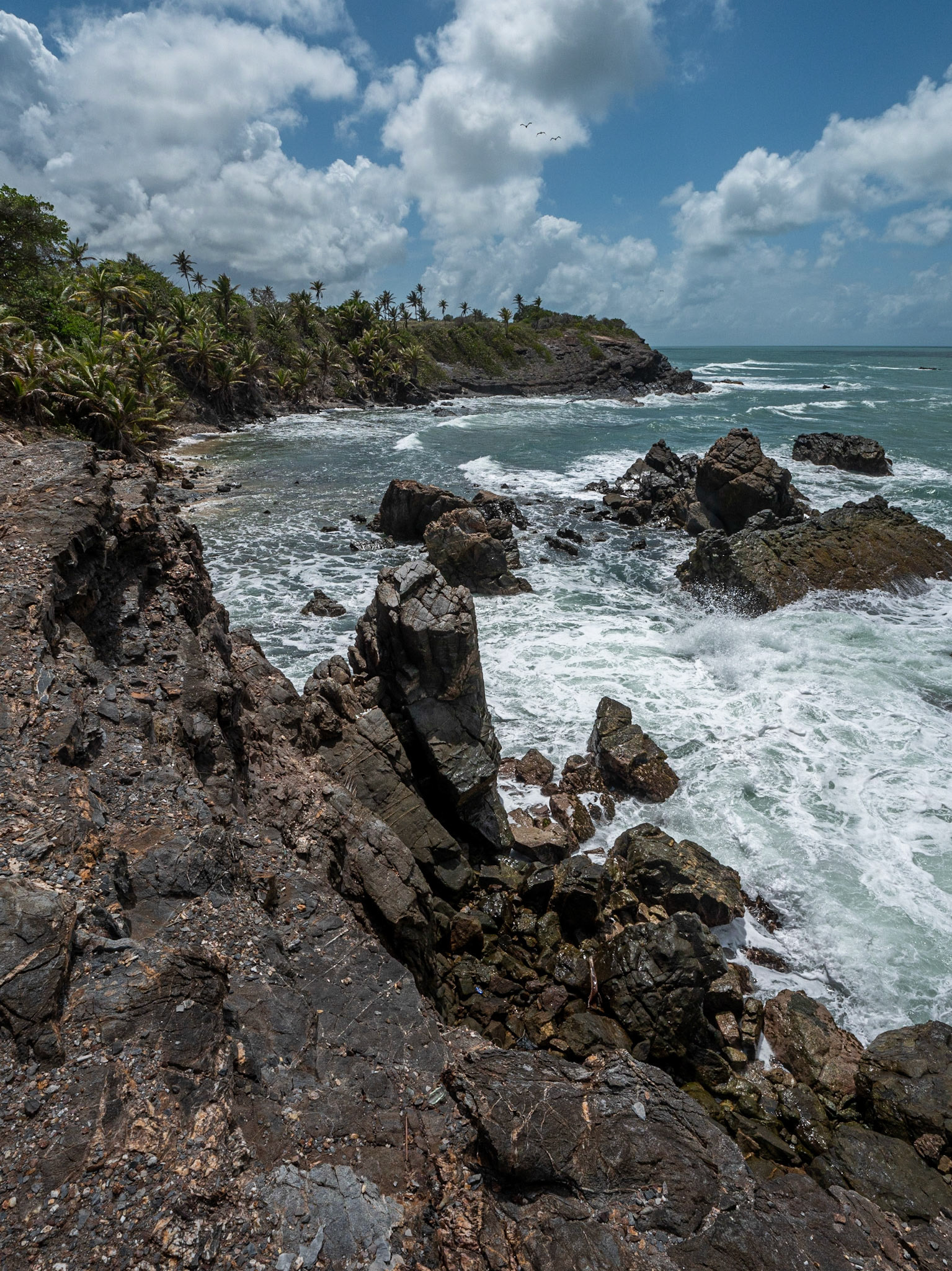 P1012501 Toco North East Coastline