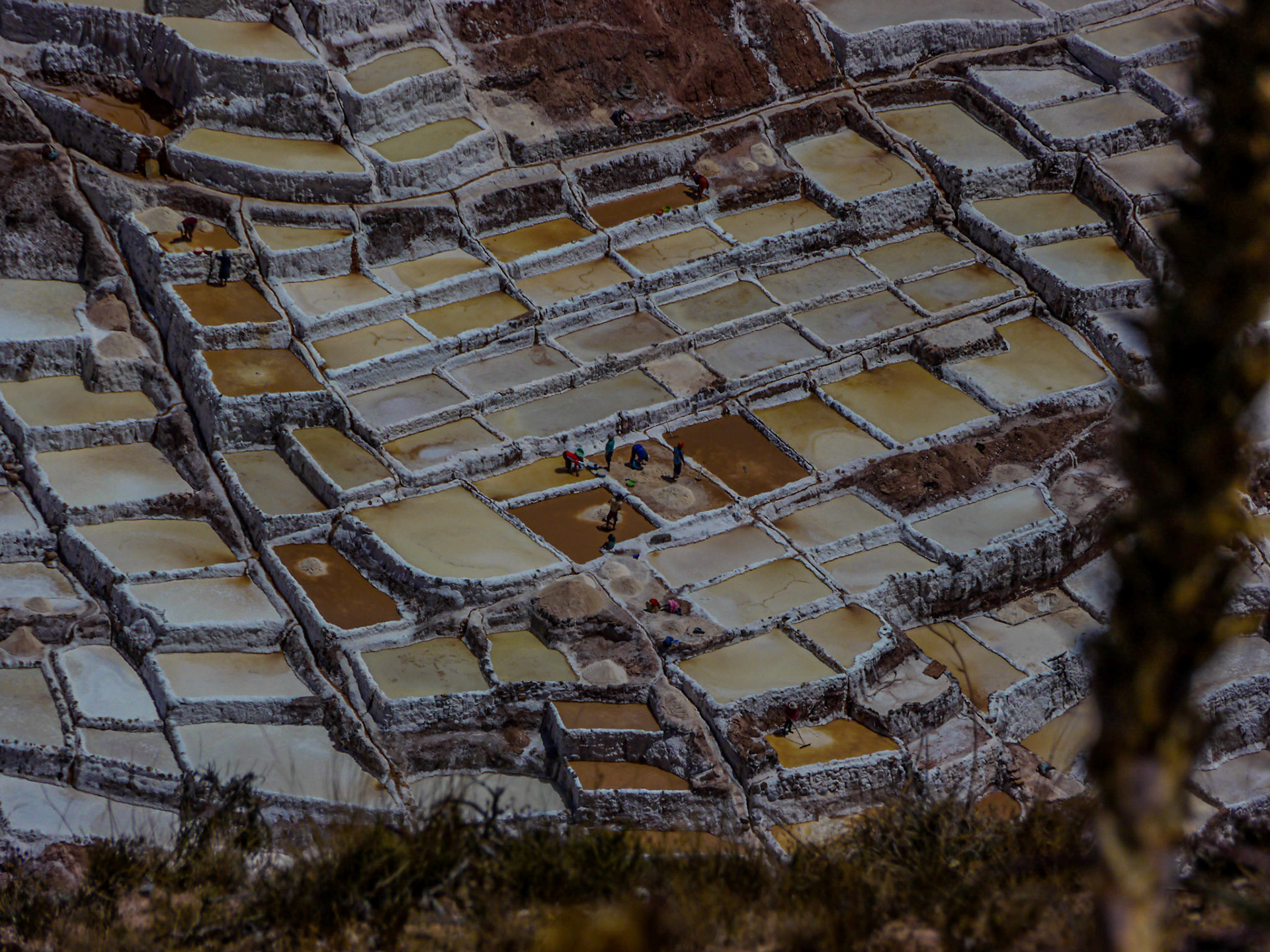 P1080882 Salt Mines of Maras