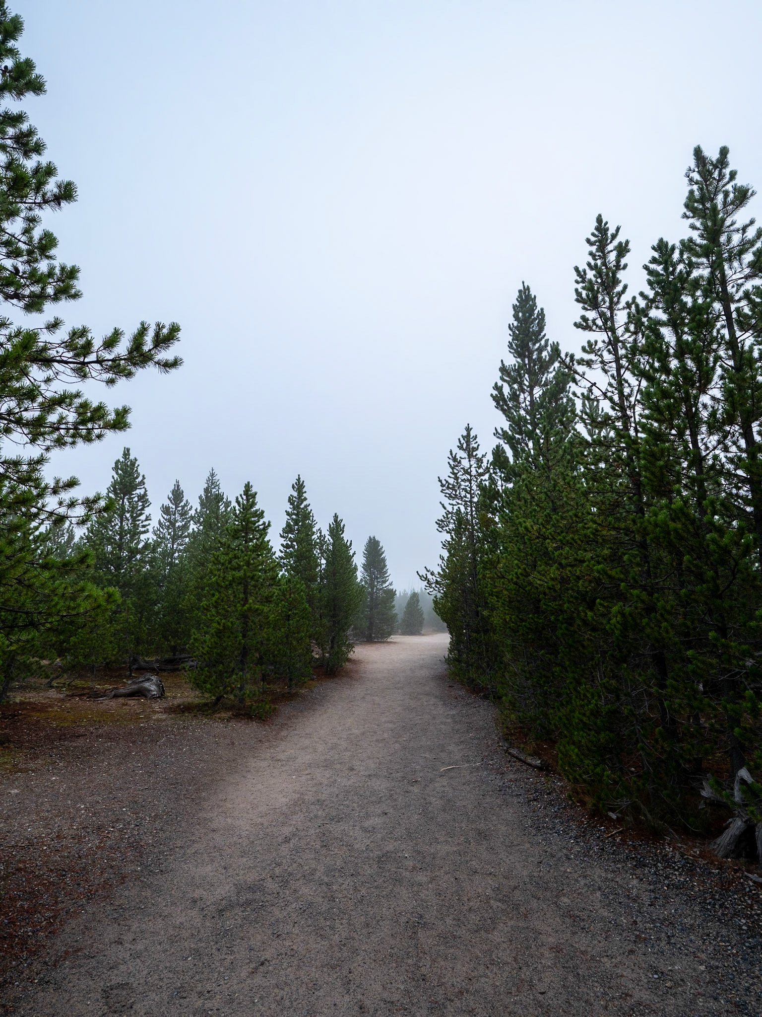 P1124435 Yellowstone National Park