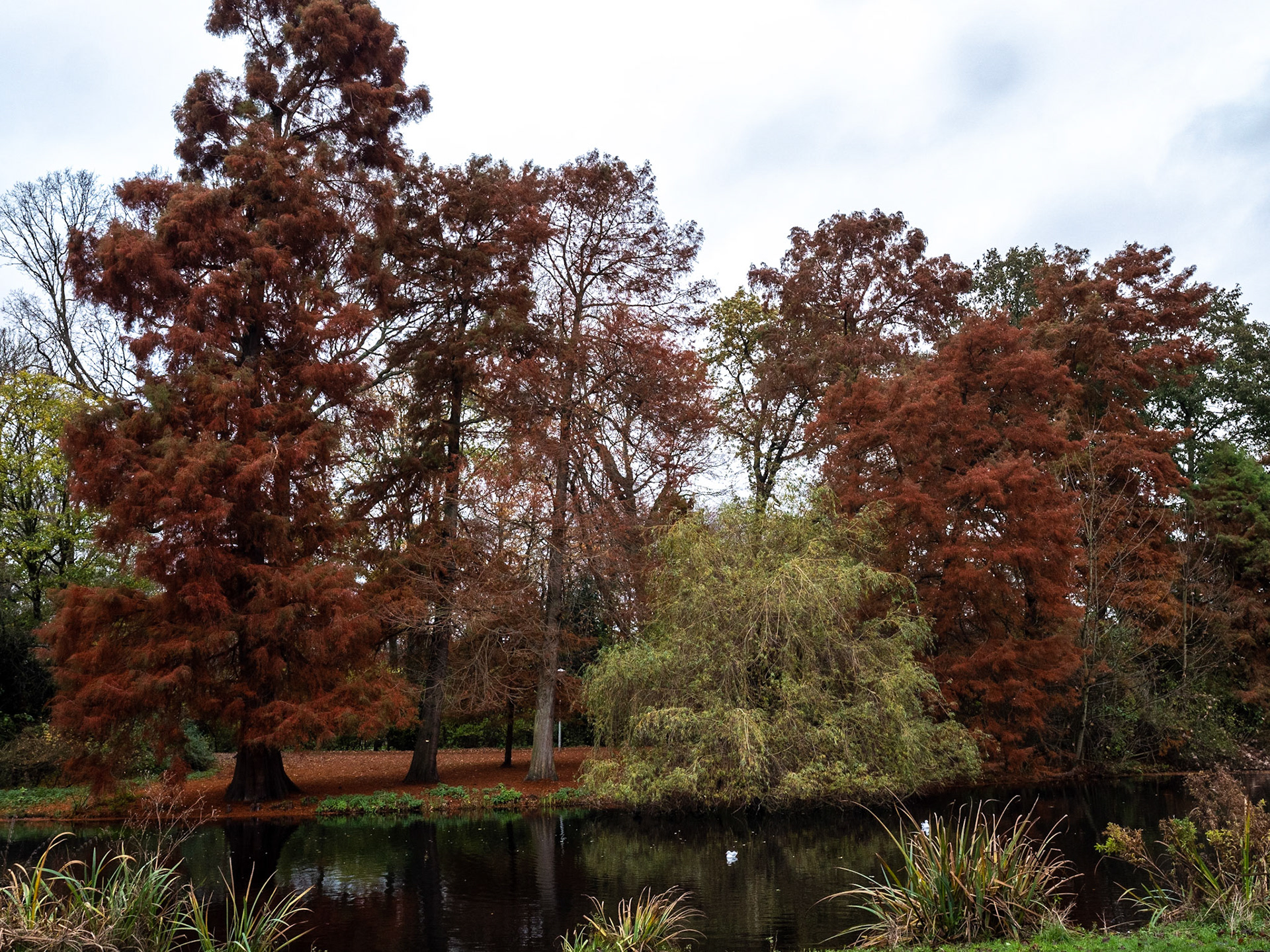 P1068136 Vondelpark