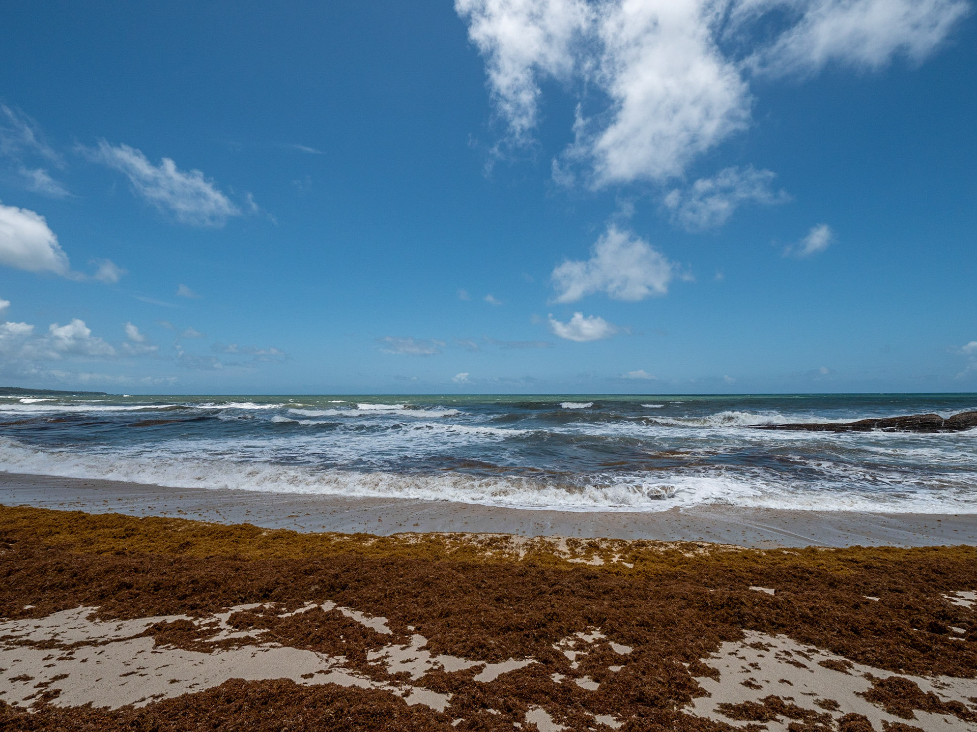 P1012461 Toco North East Coastline