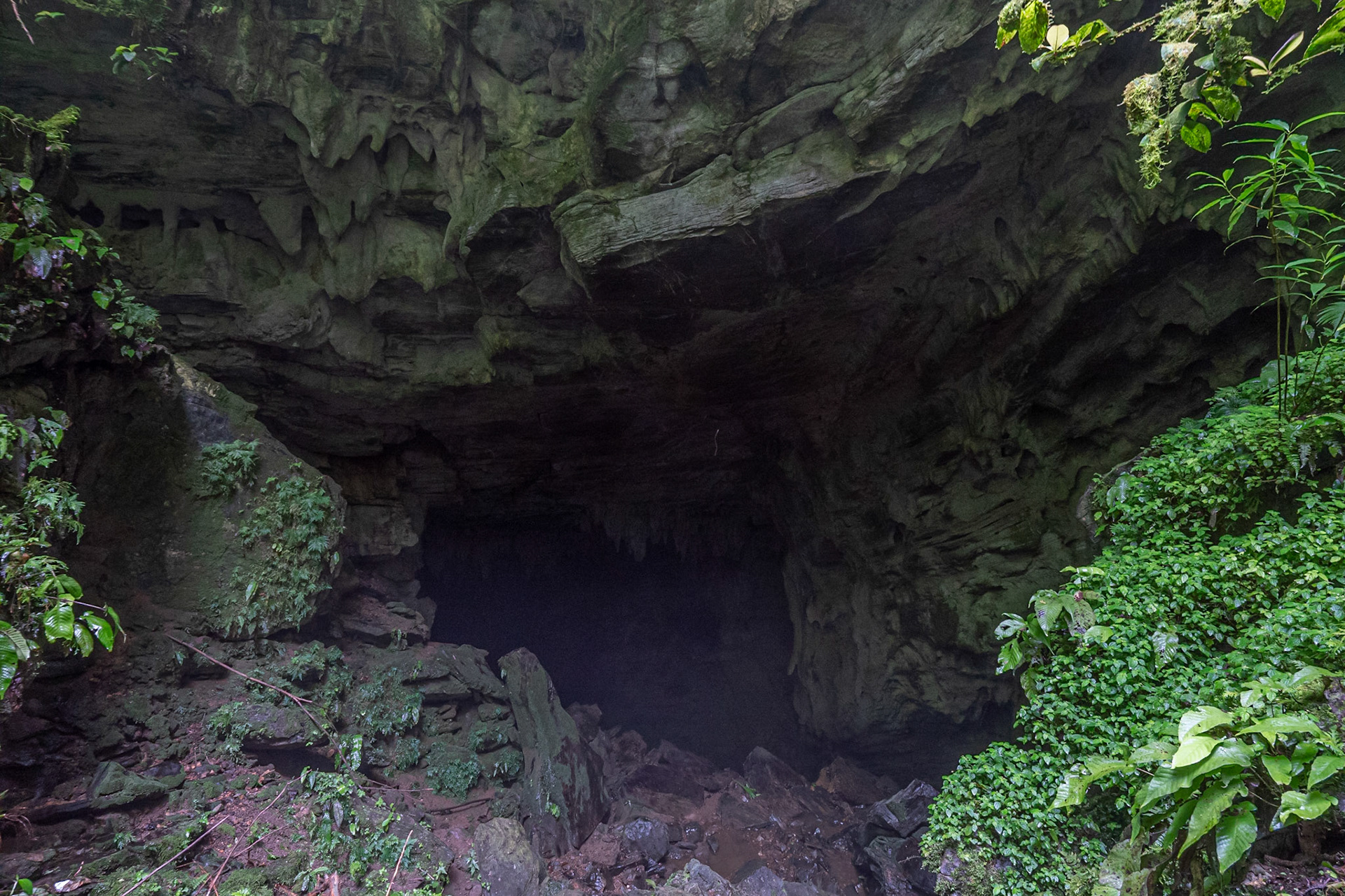 P1072593 First stop, entrance to the Aripo Cave, a very large opening