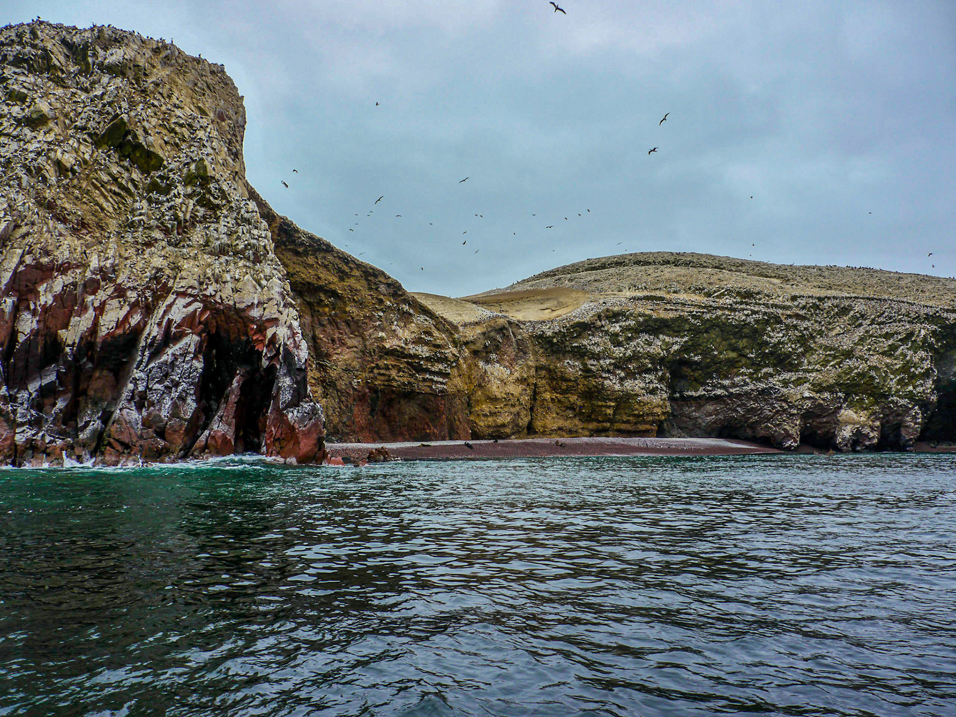 P1090703 Ballestas Islands