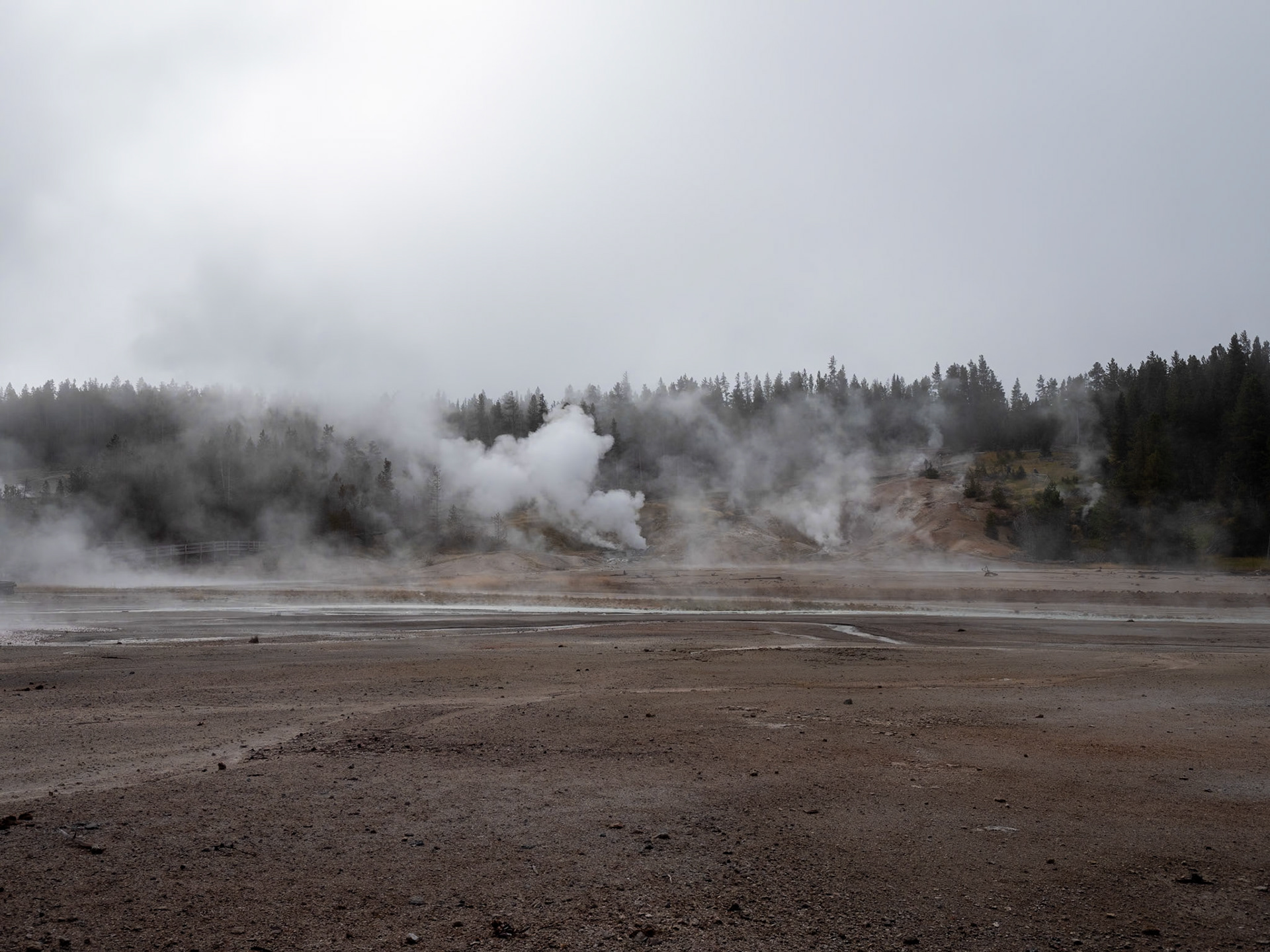 P1124476 Yellowstone National Park