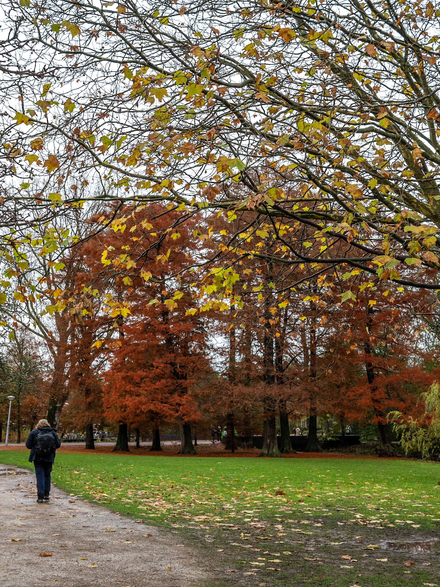 P1068263 Vondelpark