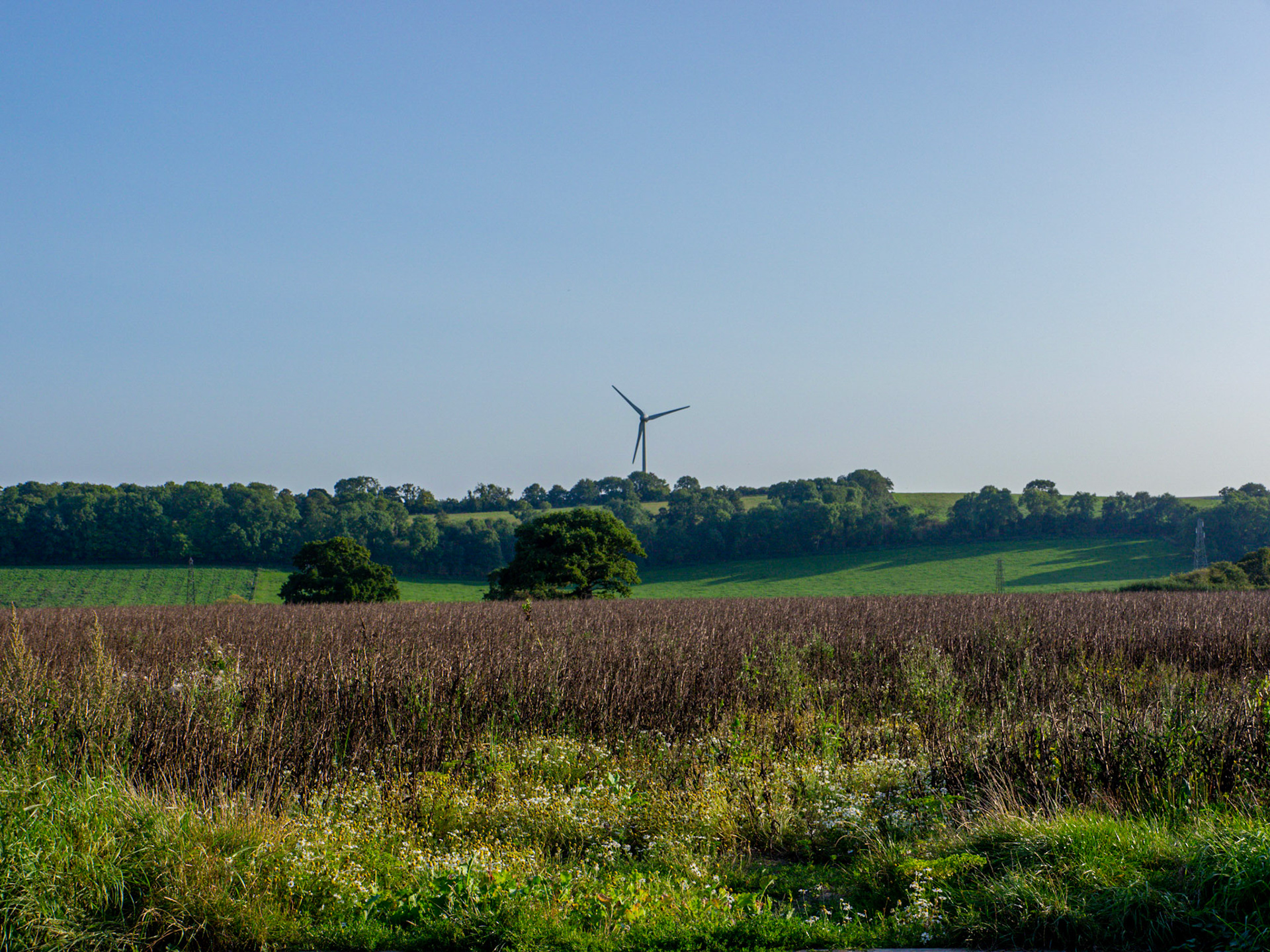 P1170334 A walk to a Windmill