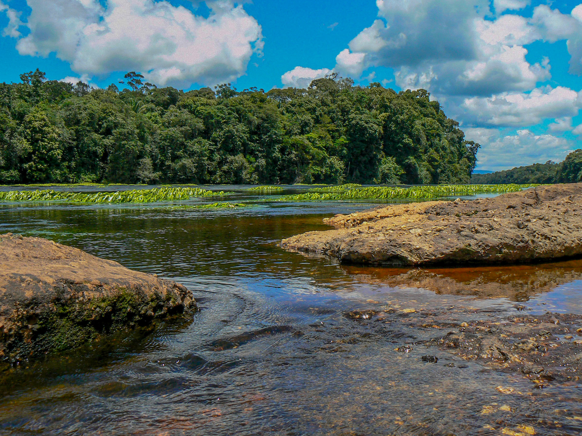 P1040721 Kaieteur Falls upstream river