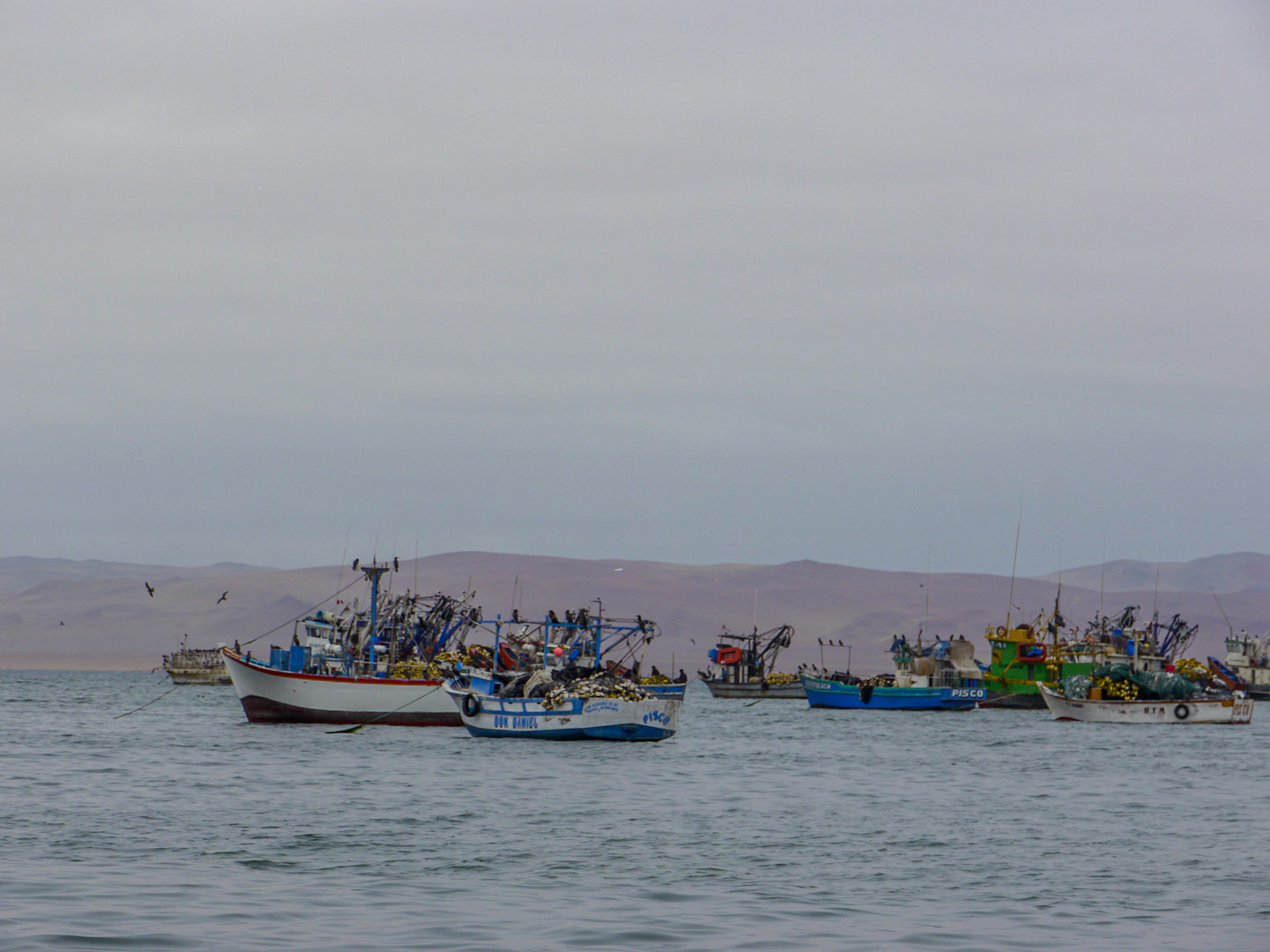 P1090506 Paracas Bay