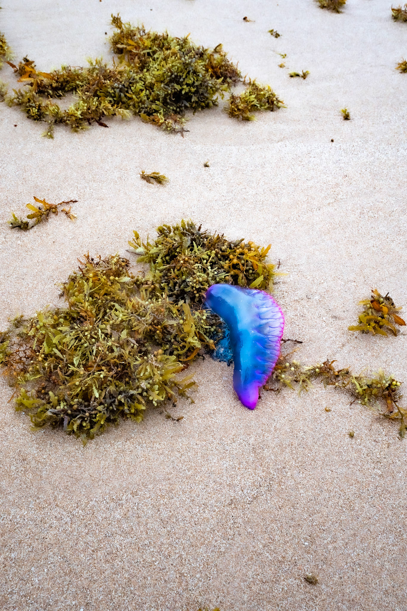 P1069771 Left behind