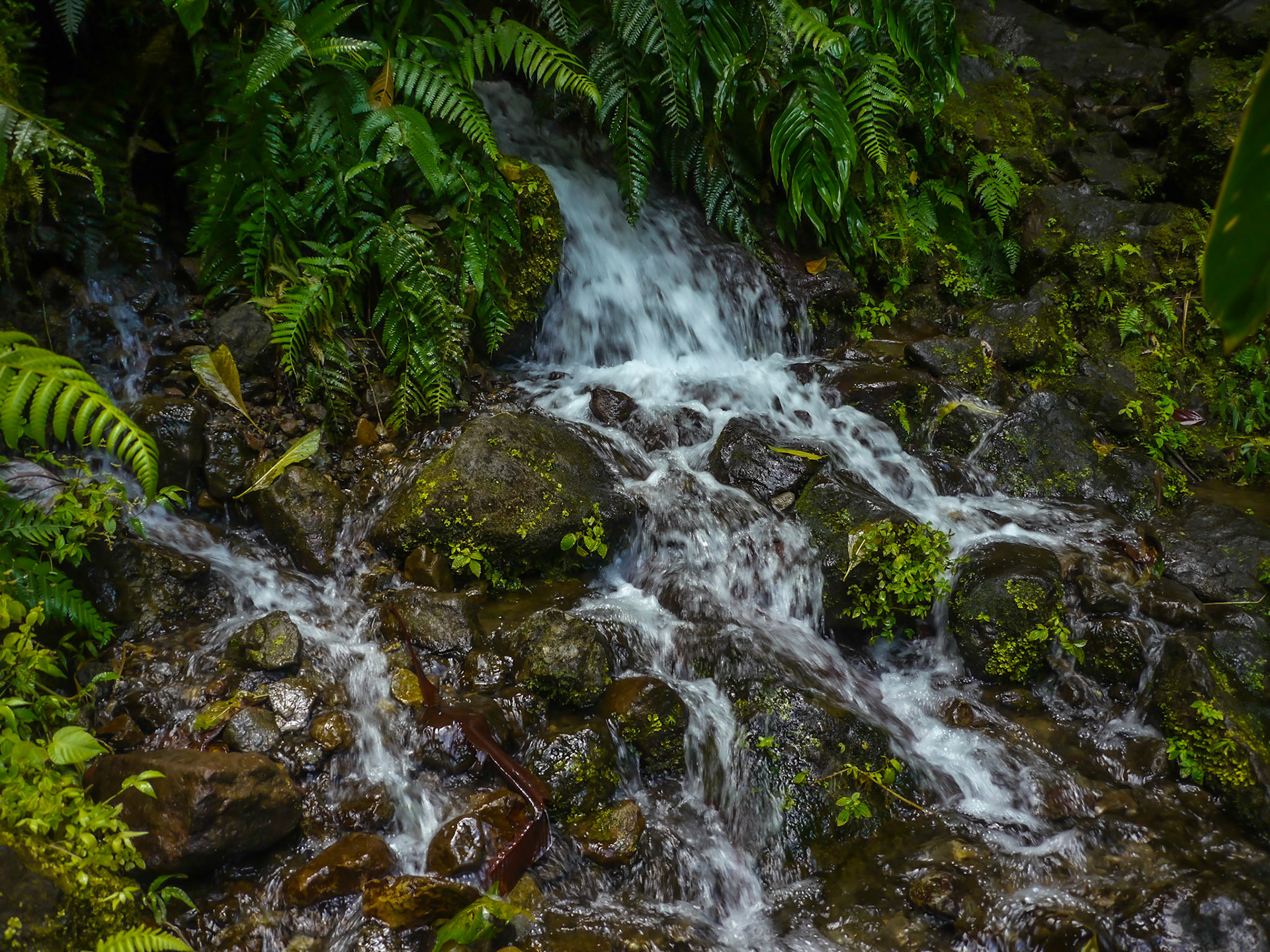 P1040373