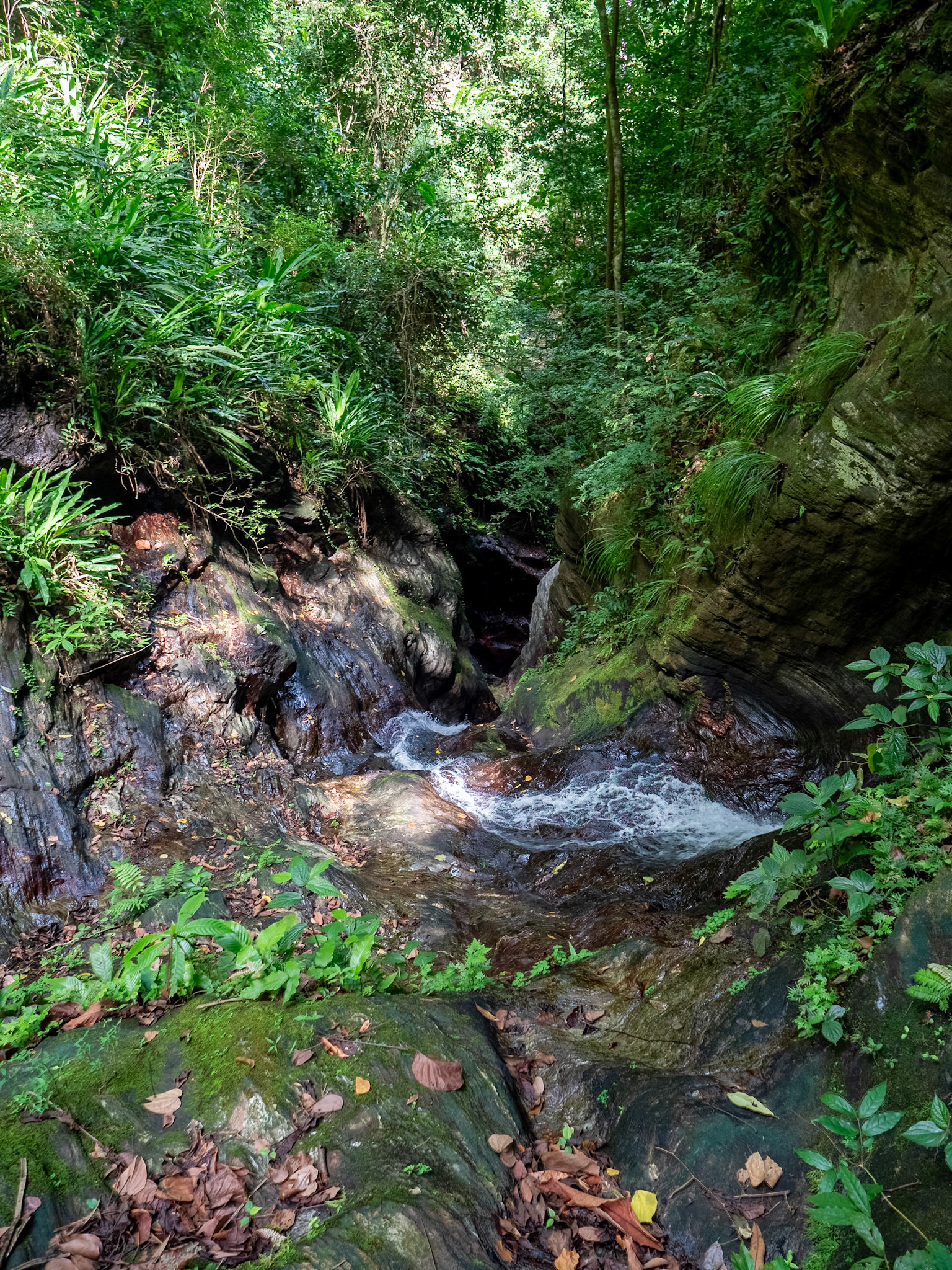 P1146341 Downstream Rincon Waterfall