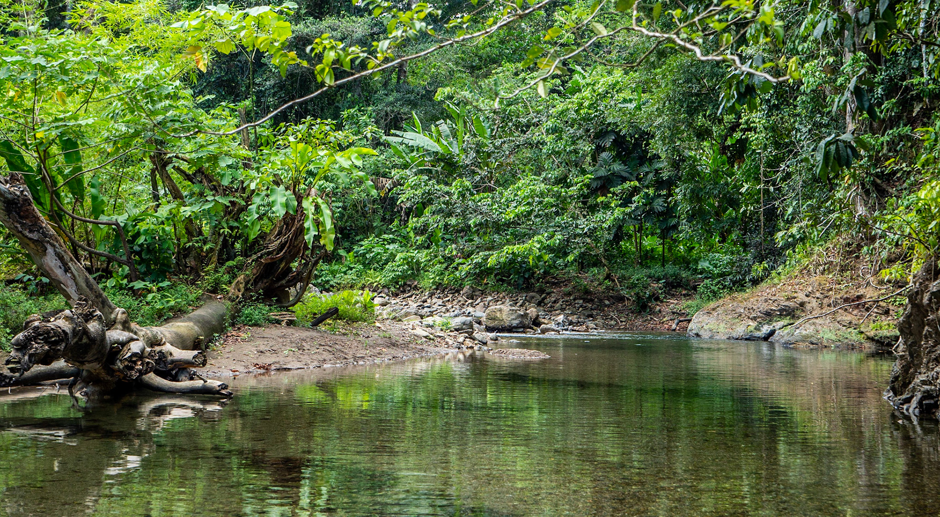 P1012749 Shark River Matelot