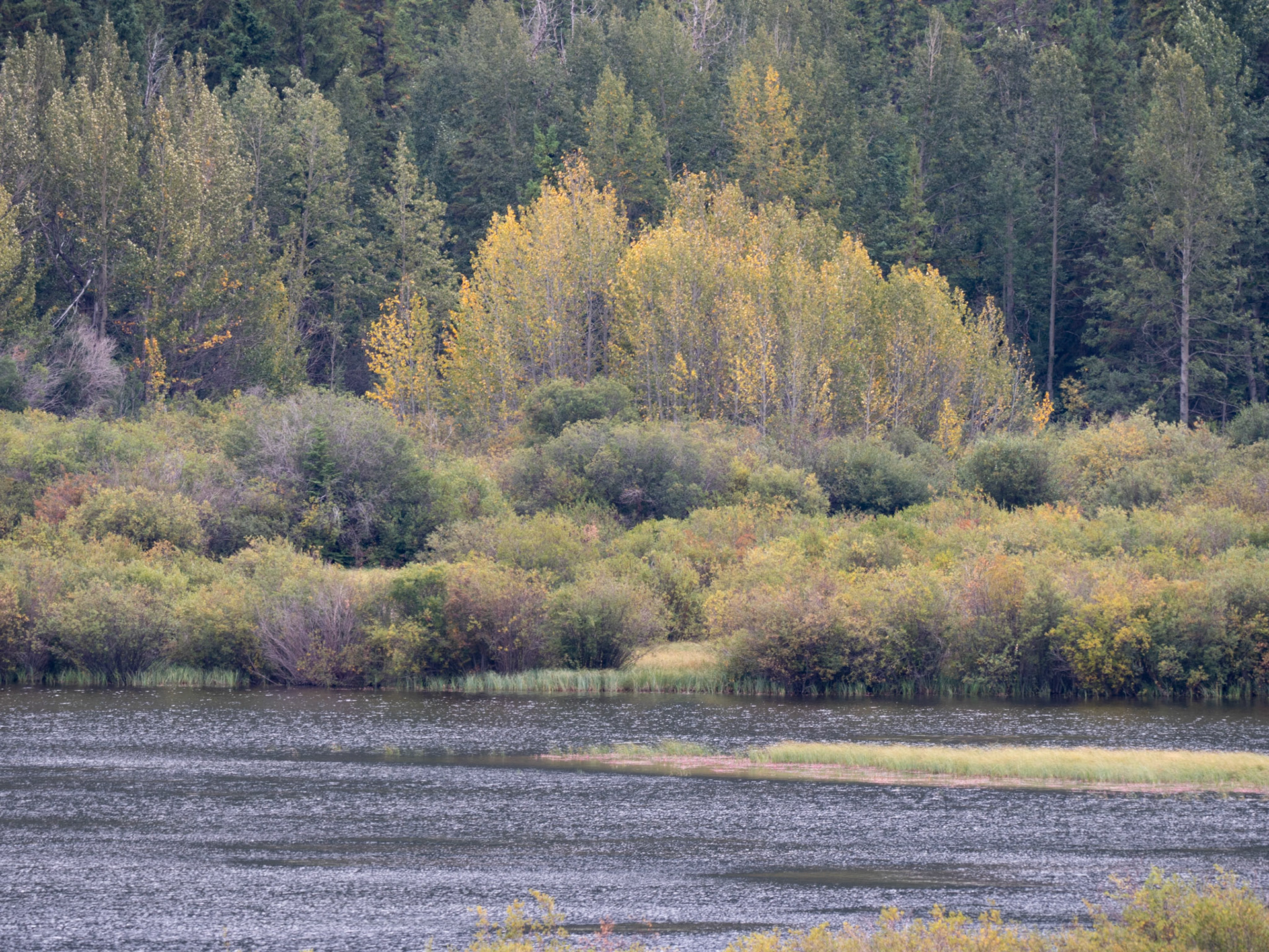Baker Creek Bow Valley Parkway