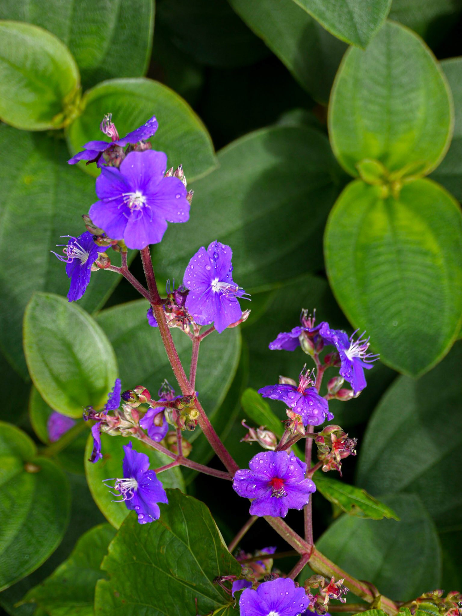 P1040454