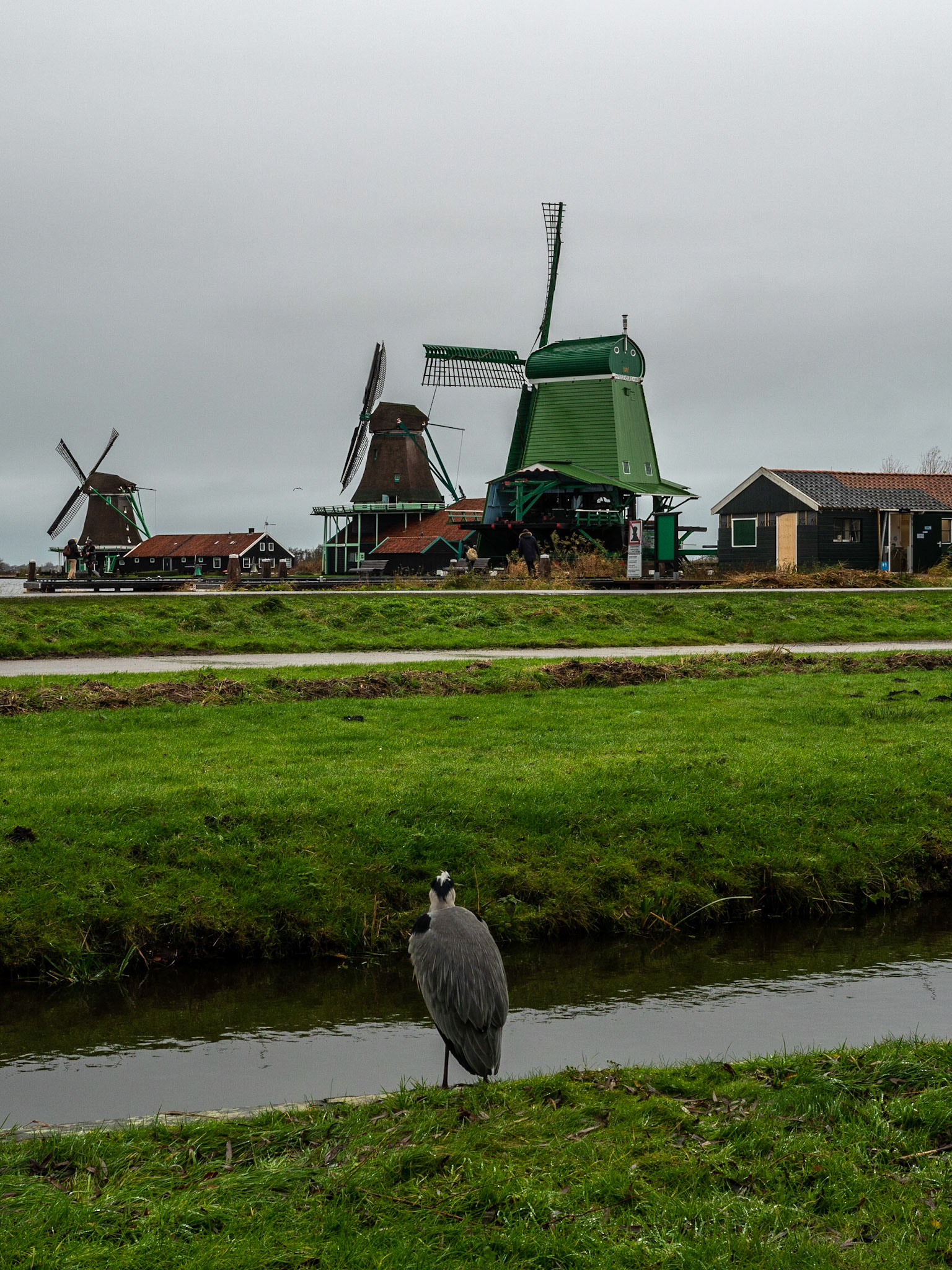 P1068397 Windmills of Zaanse Schans "Hmm, what unusual wings"
