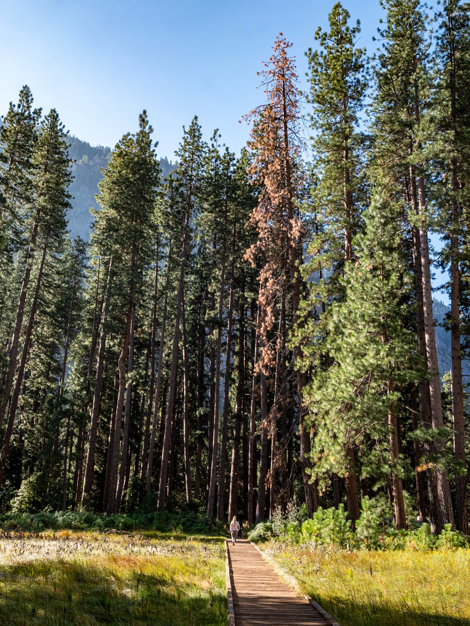 P1135377 Yosemite National Park
