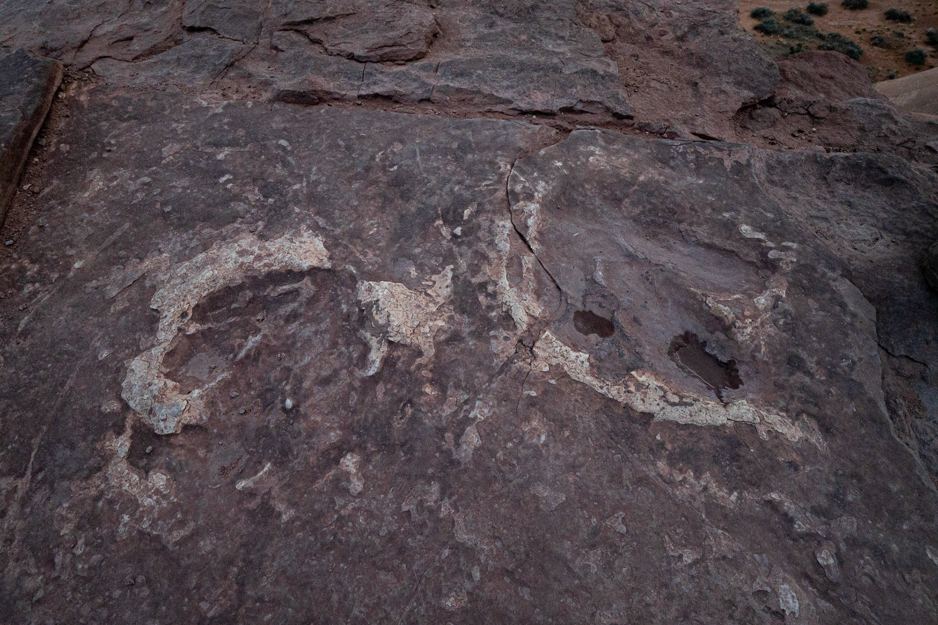 P1083751 A dinosour footprint left behind cemented in the rocks from a distant past, as we head towards Monument Valley.