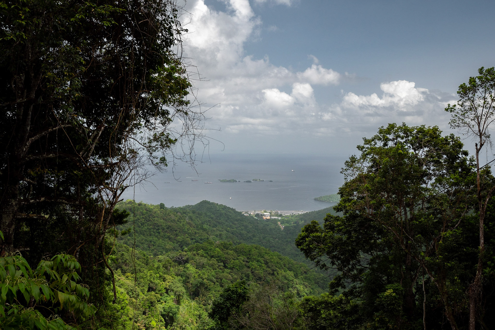 P1072223 View of the Sea on the way back down