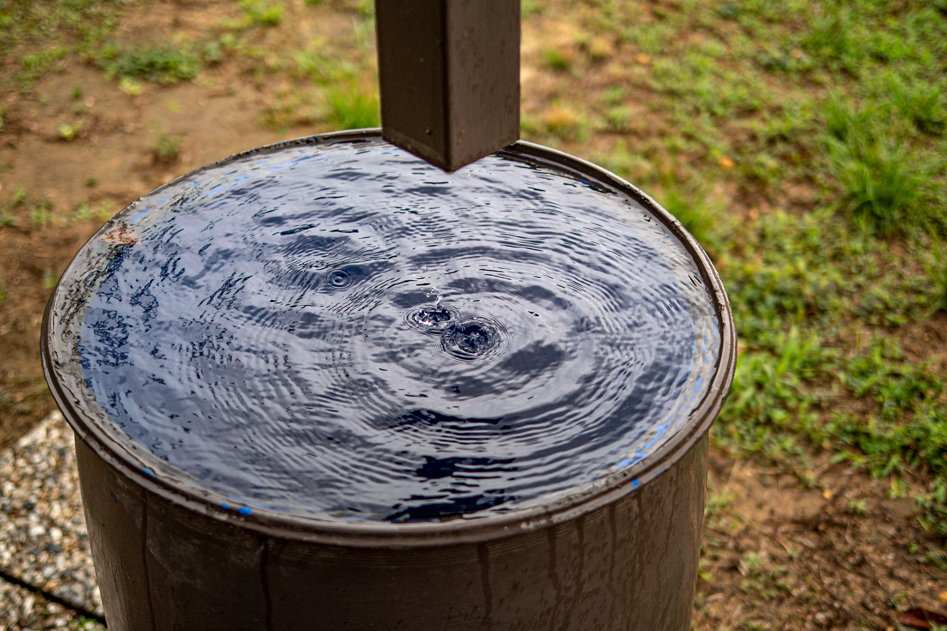 P1069586 Collection drum for rain water