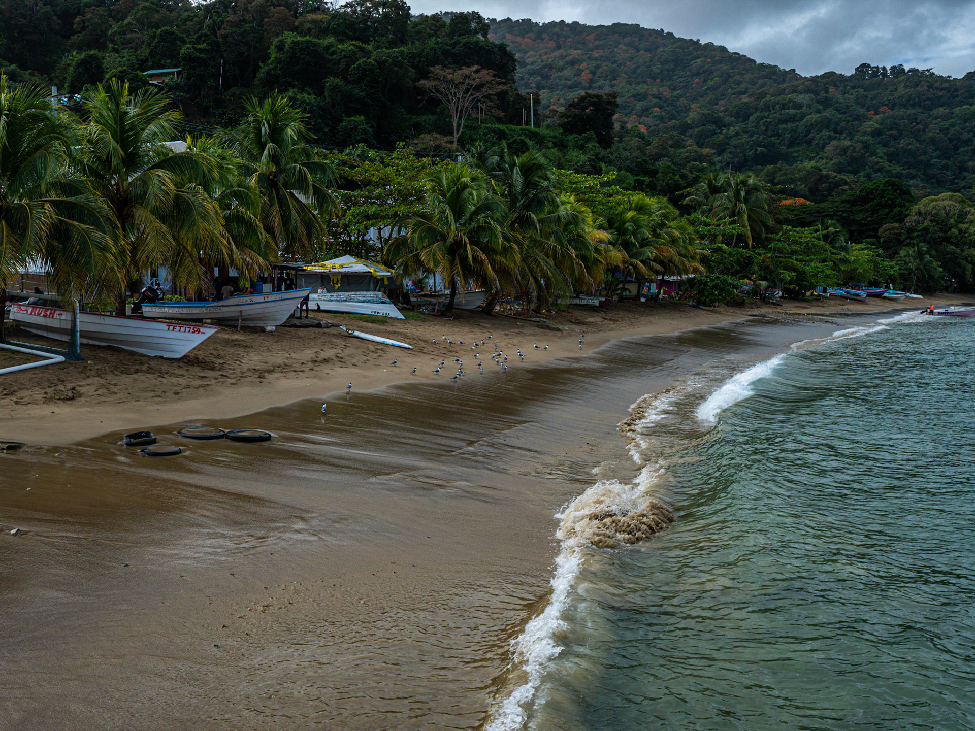 P1055347 Charlotteville