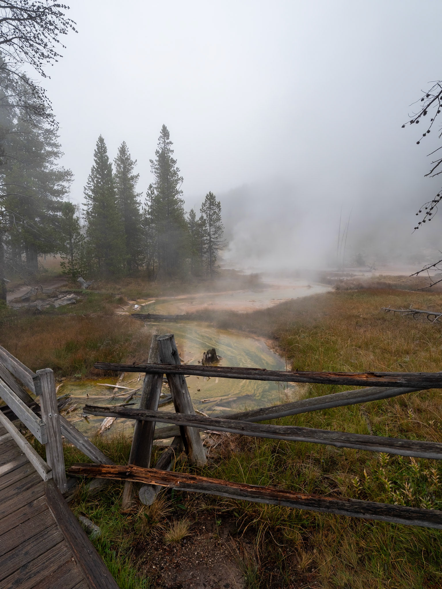 P1124383 Yellowstone National Park