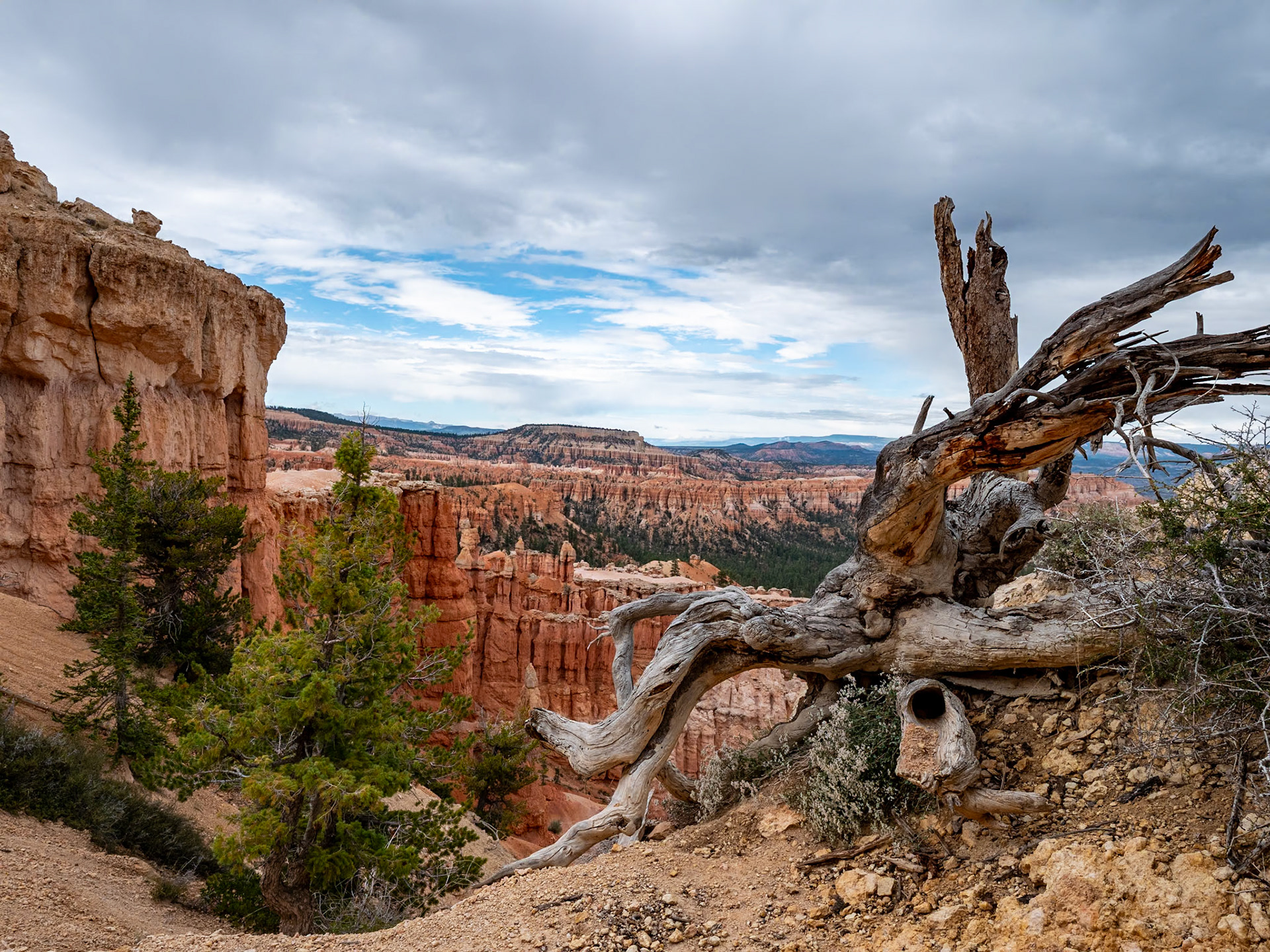 P1123624 Bryce National Park