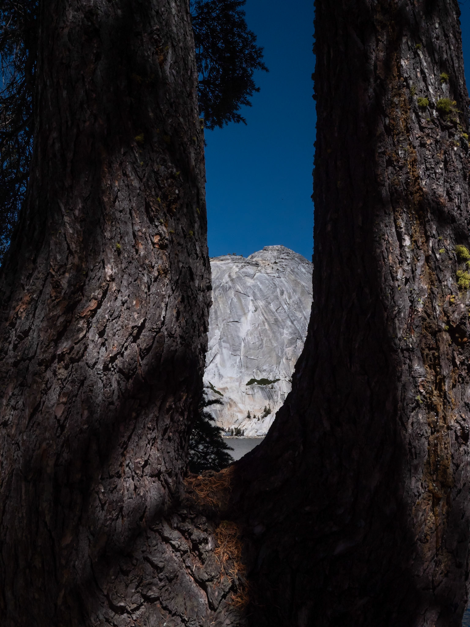 P1135185 Yosemite National Park