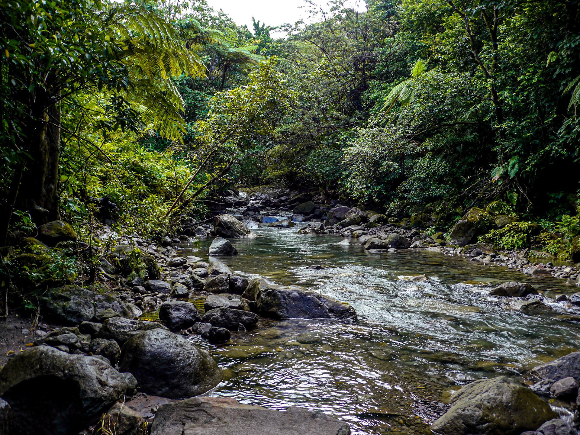 P1040555