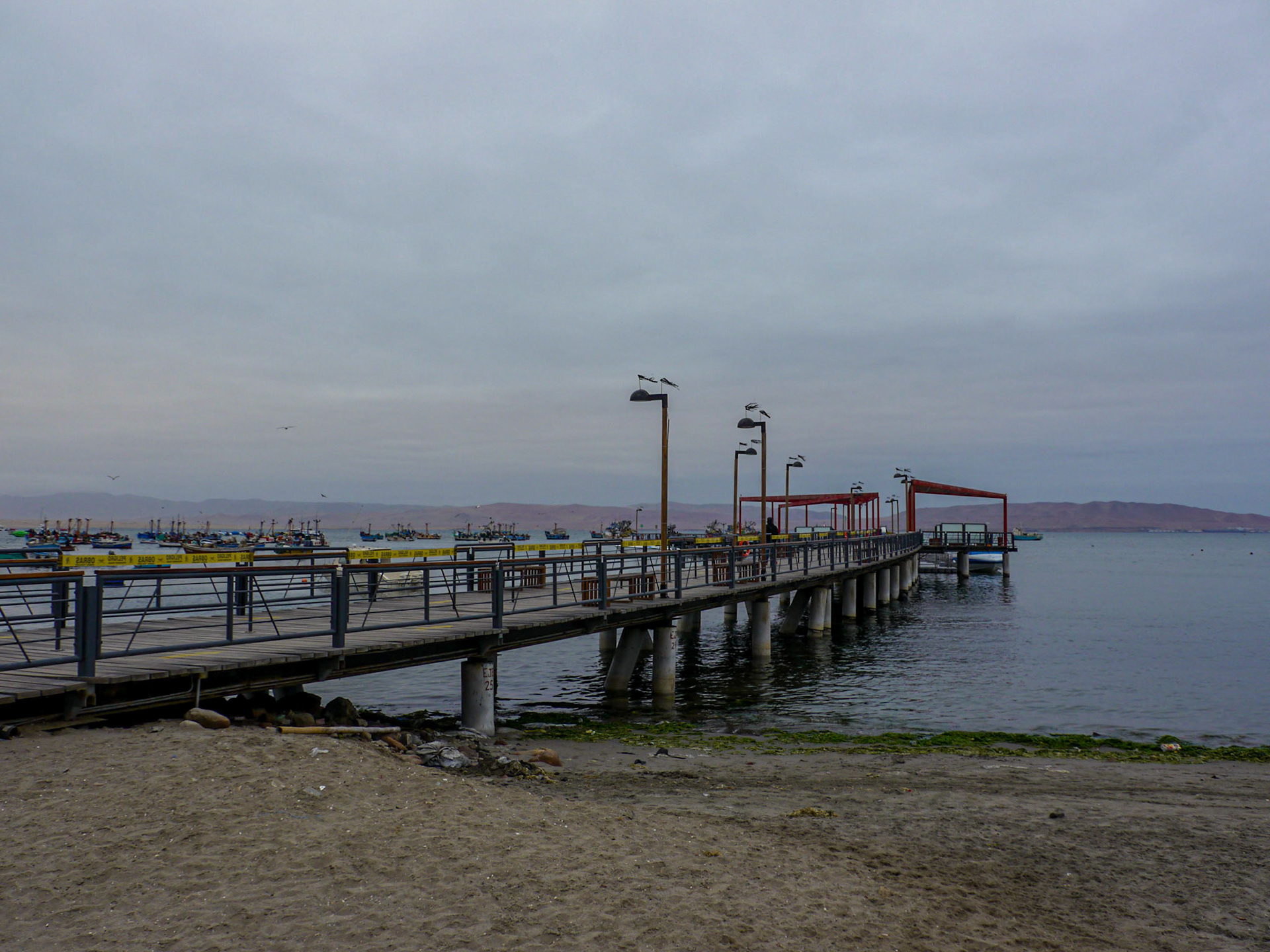 P1090487 Paracas Bay