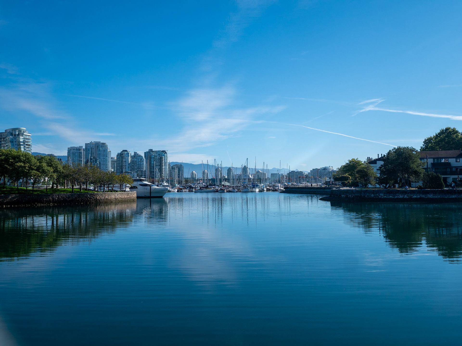 View from Granville Island Vancouver